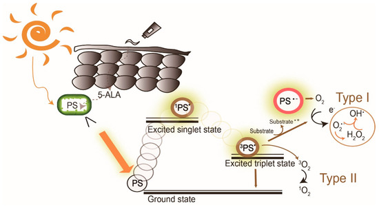 Molecules 25 05195 g001 550