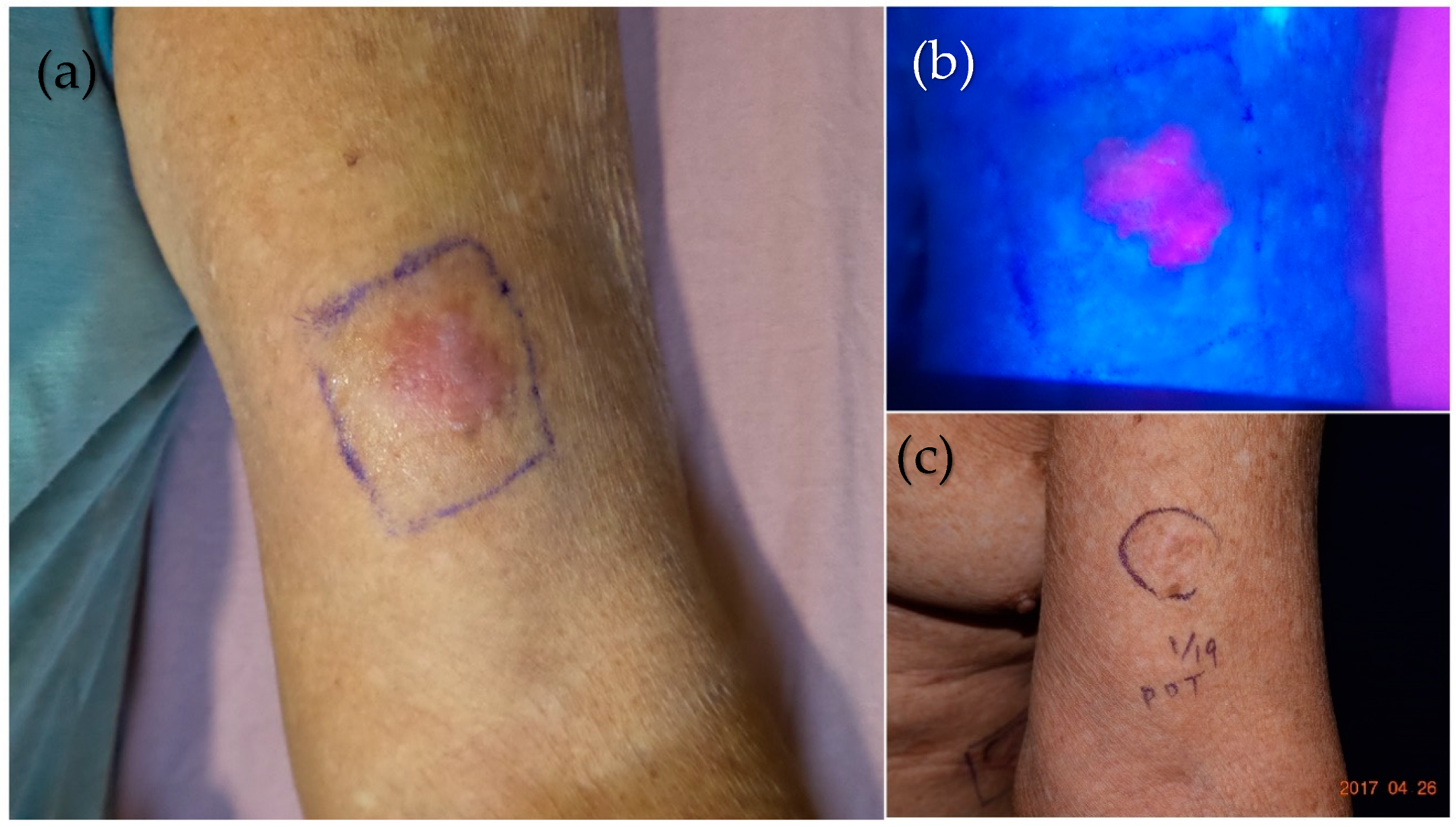 Molecules 25 05195 g006 Molecules 25 05195 g006