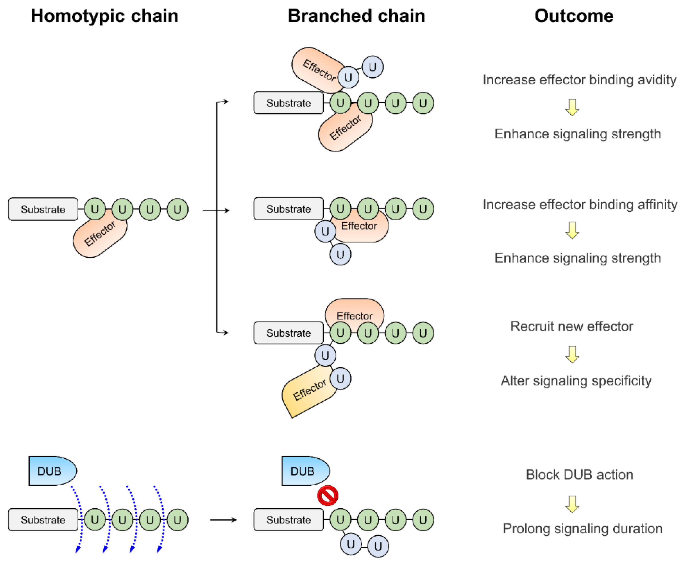 Molecules 25 05200 g002