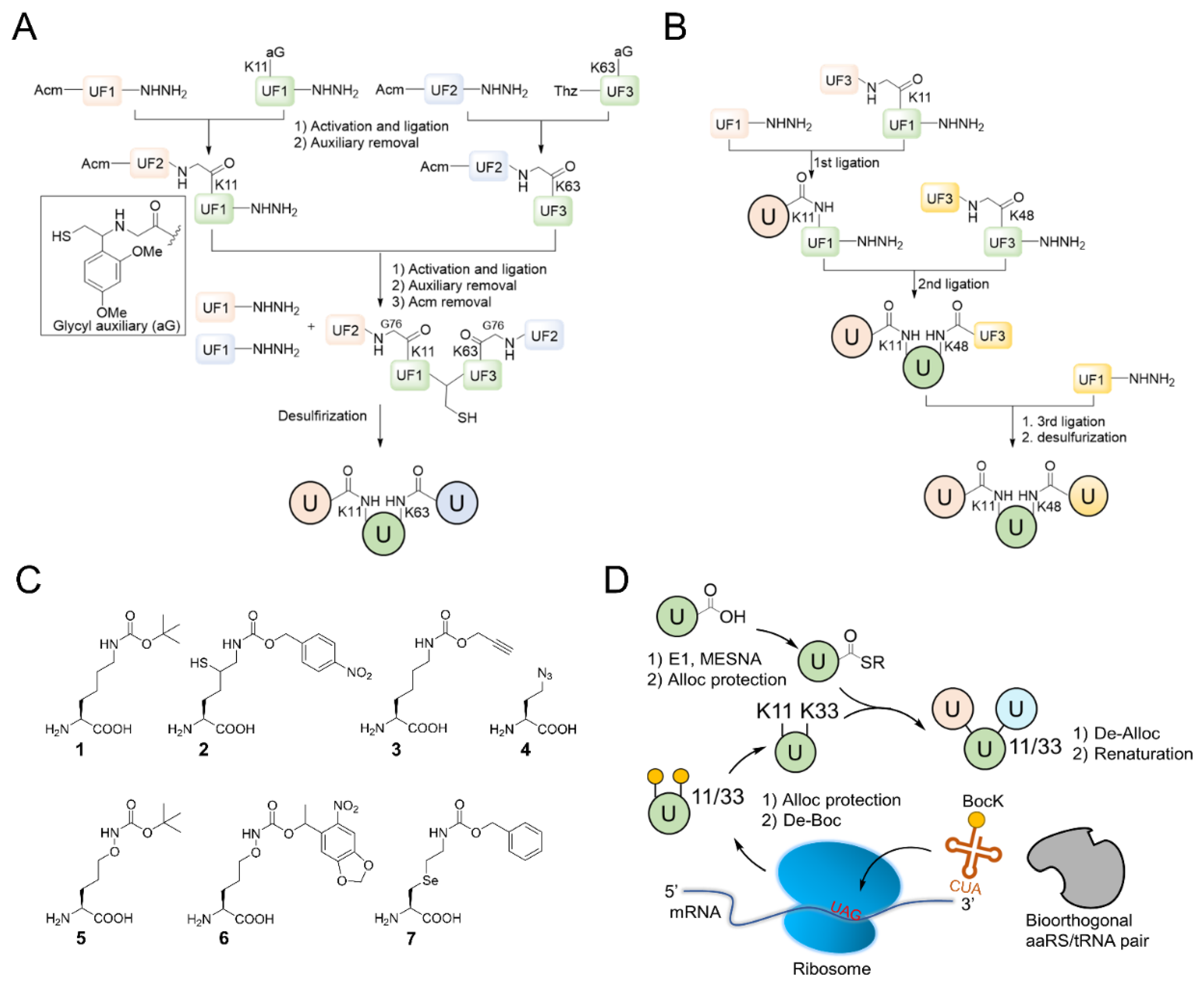 Molecules 25 05200 g003