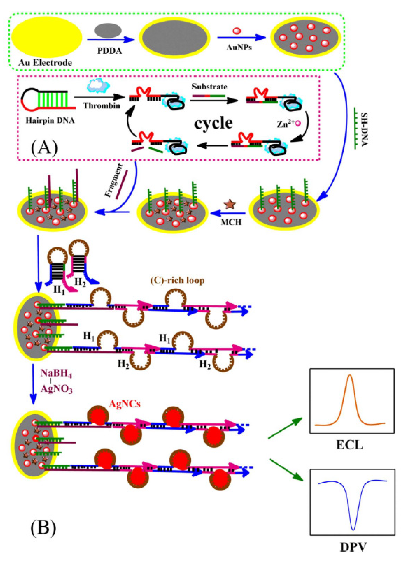 Molecules 25 05208 g004 Molecules 25 05208 g004