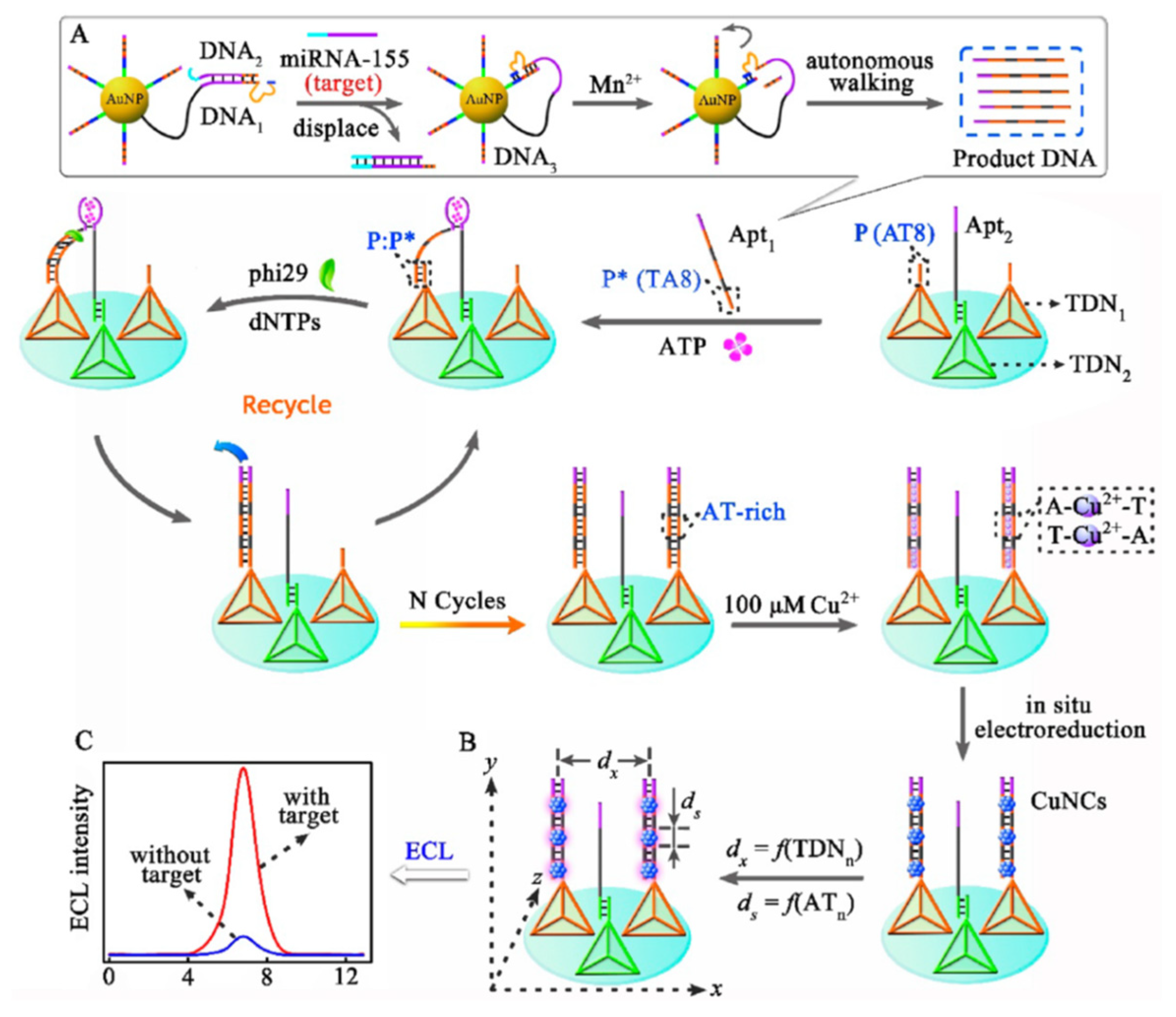 Molecules 25 05208 g005 Molecules 25 05208 g005