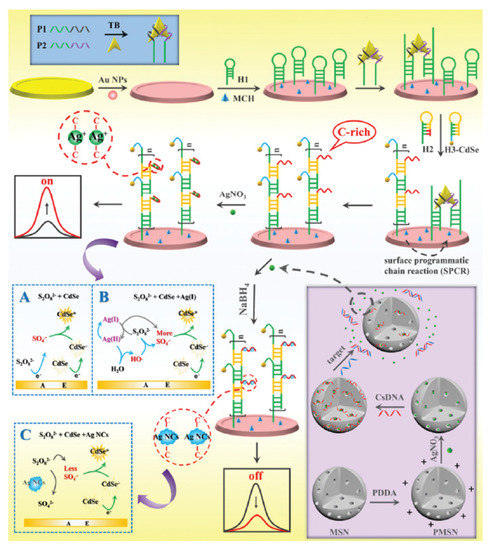 Molecules 25 05208 g006 550