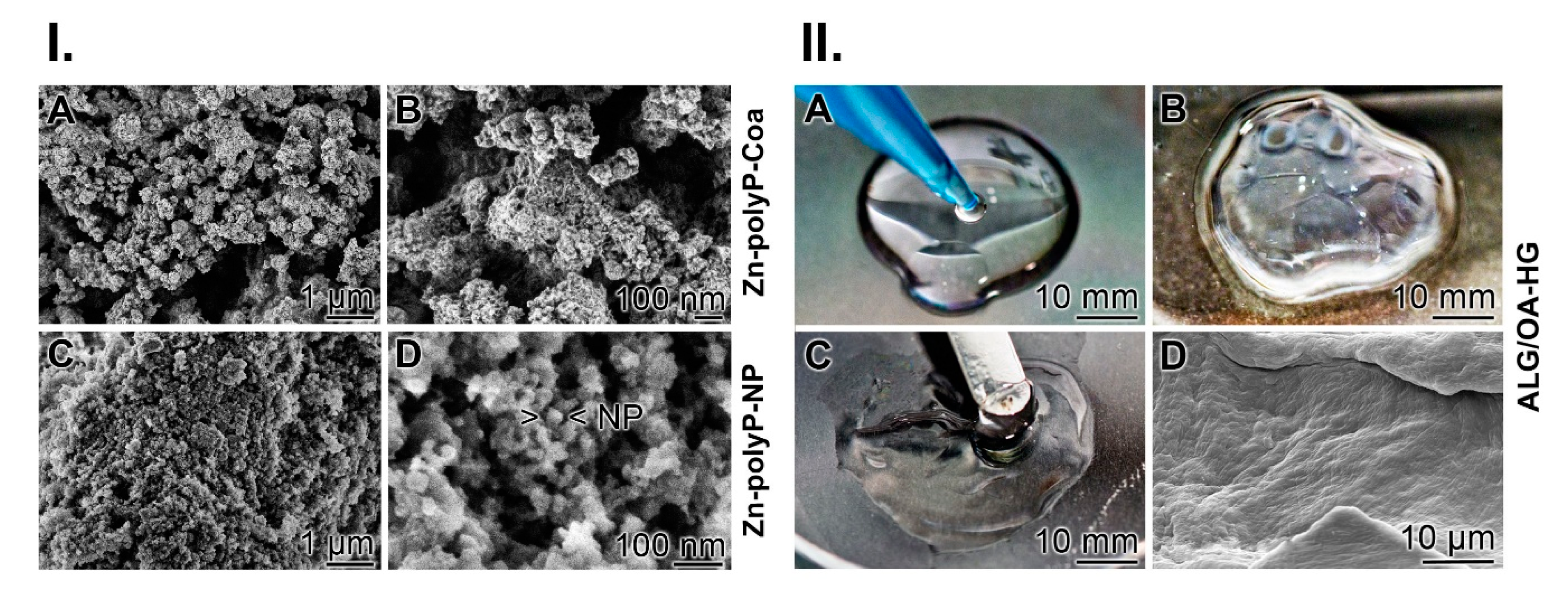 Molecules 25 05210 g002