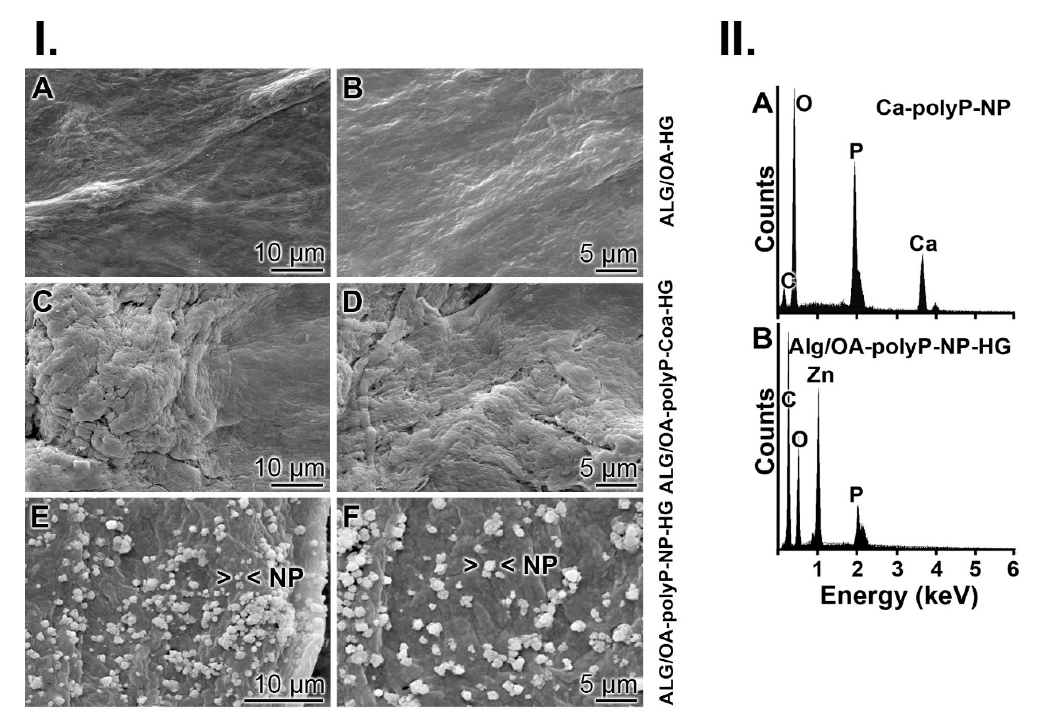 Molecules 25 05210 g004