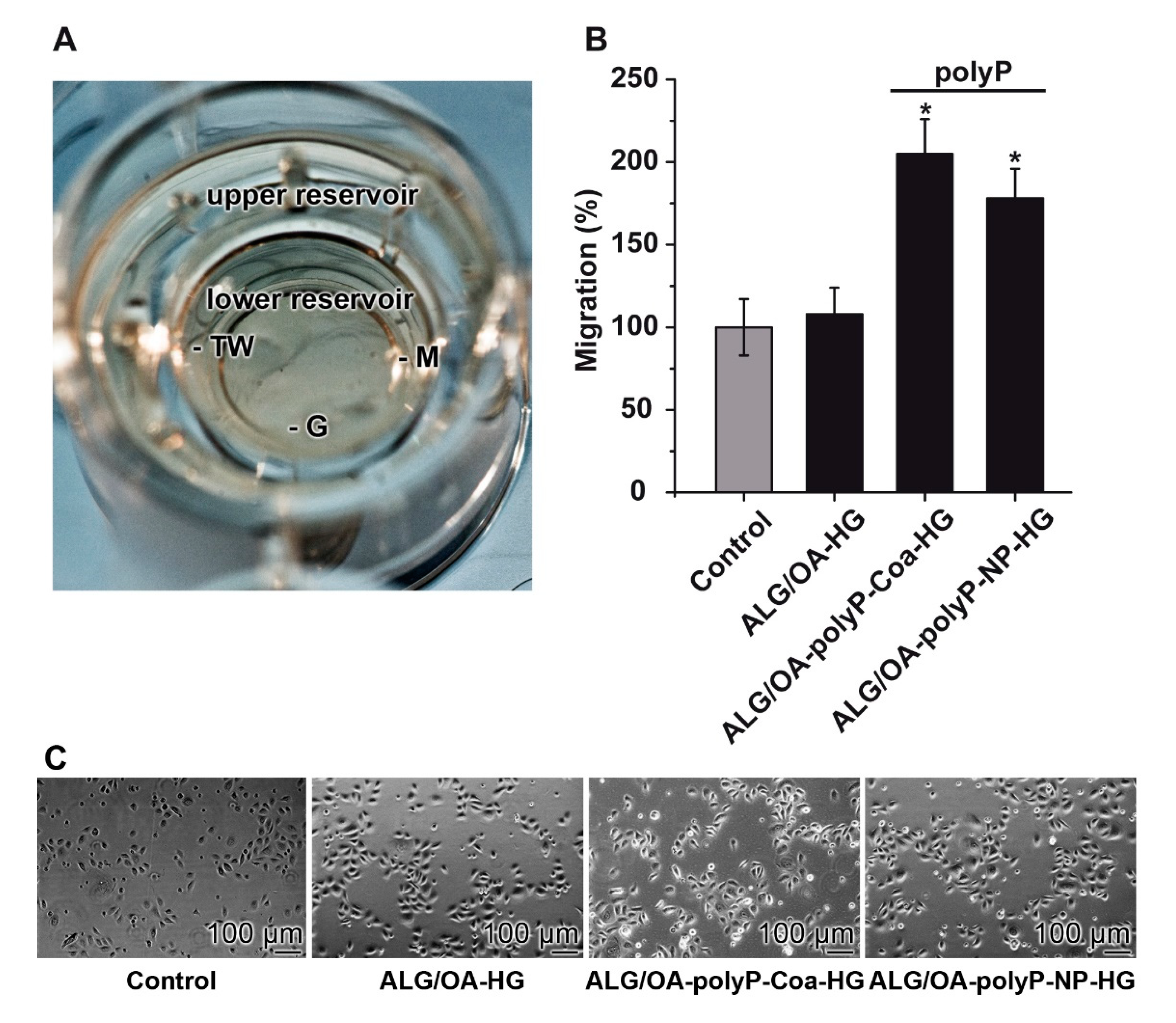 Molecules 25 05210 g006