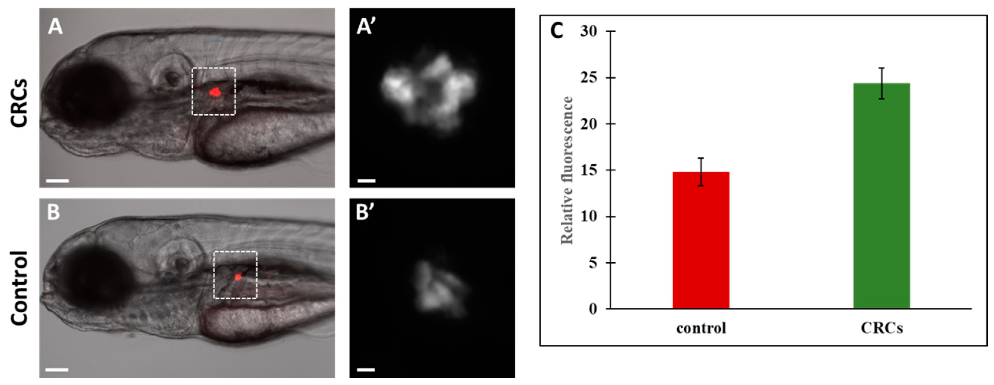 Molecules 25 05223 g002 Molecules 25 05223 g002