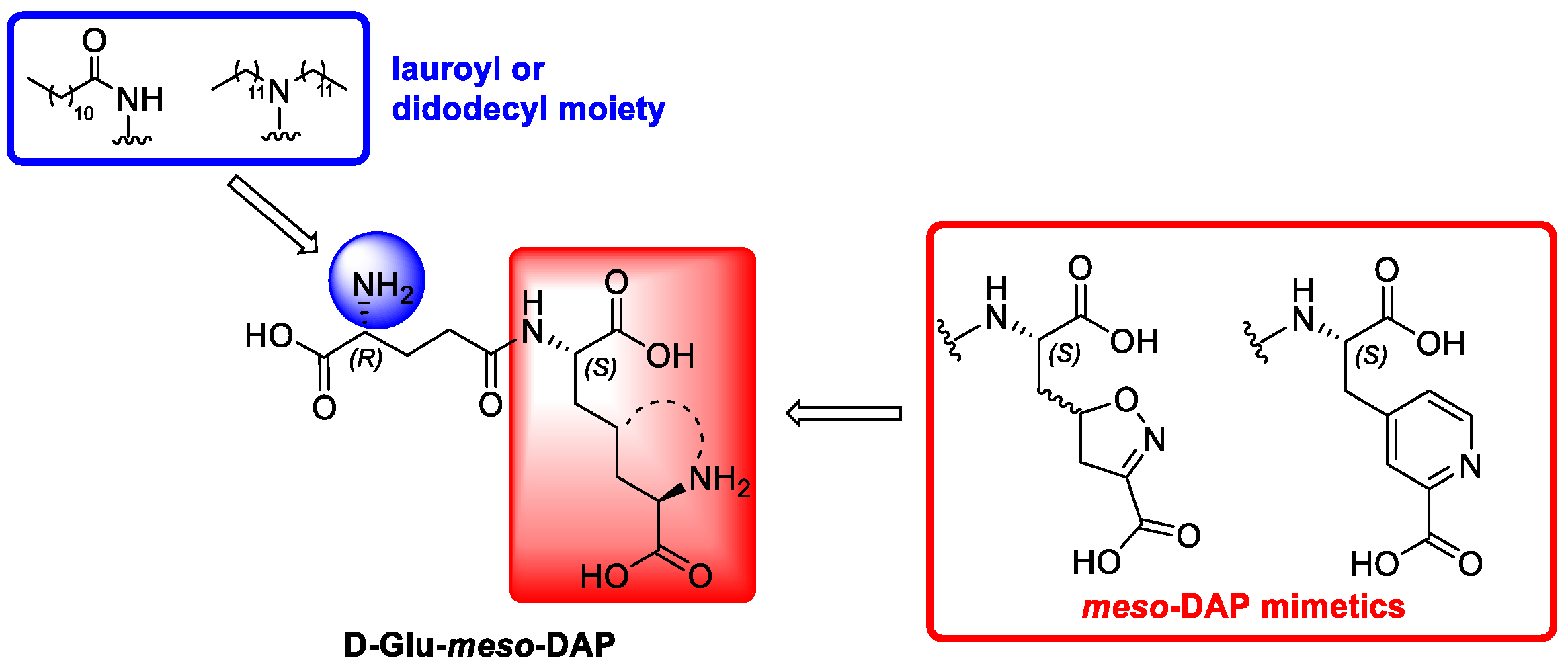 Molecules 25 05228 g001 Molecules 25 05228 g001