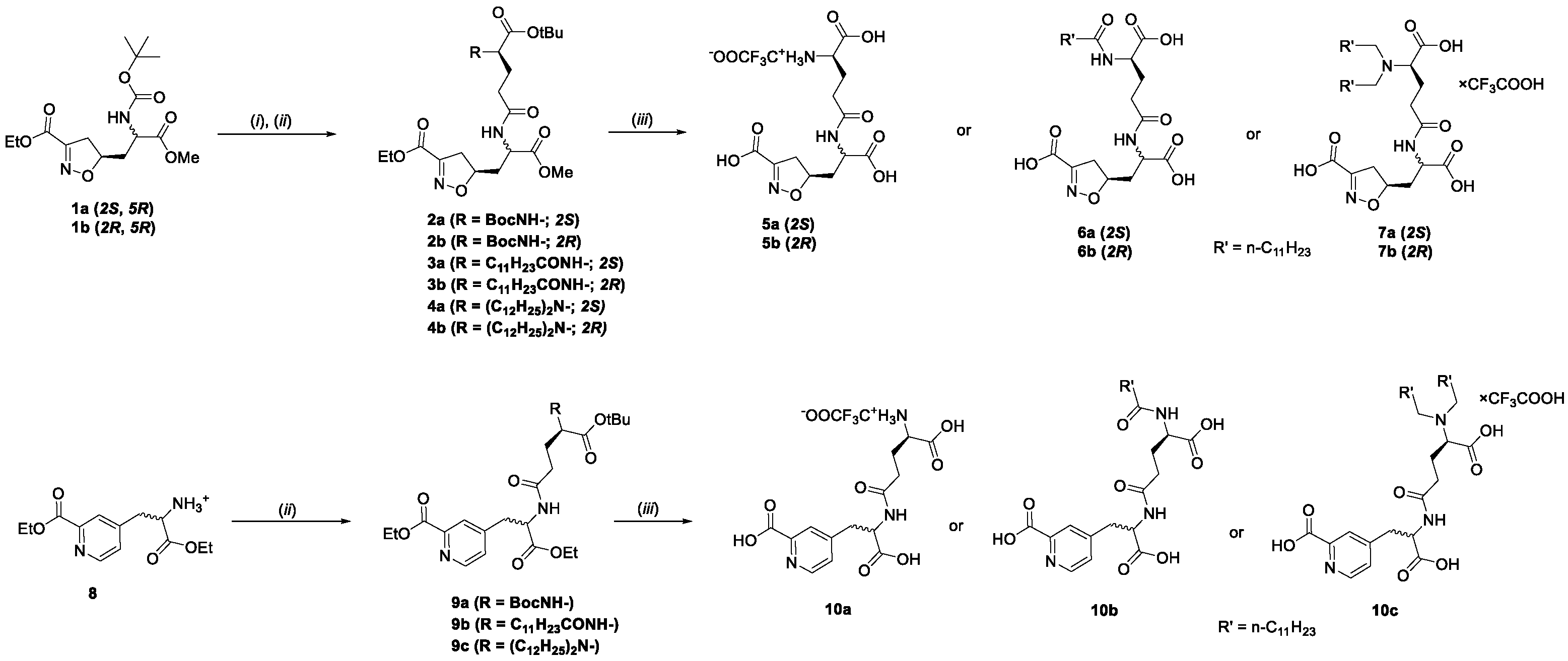 Molecules 25 05228 sch001 Molecules 25 05228 sch001