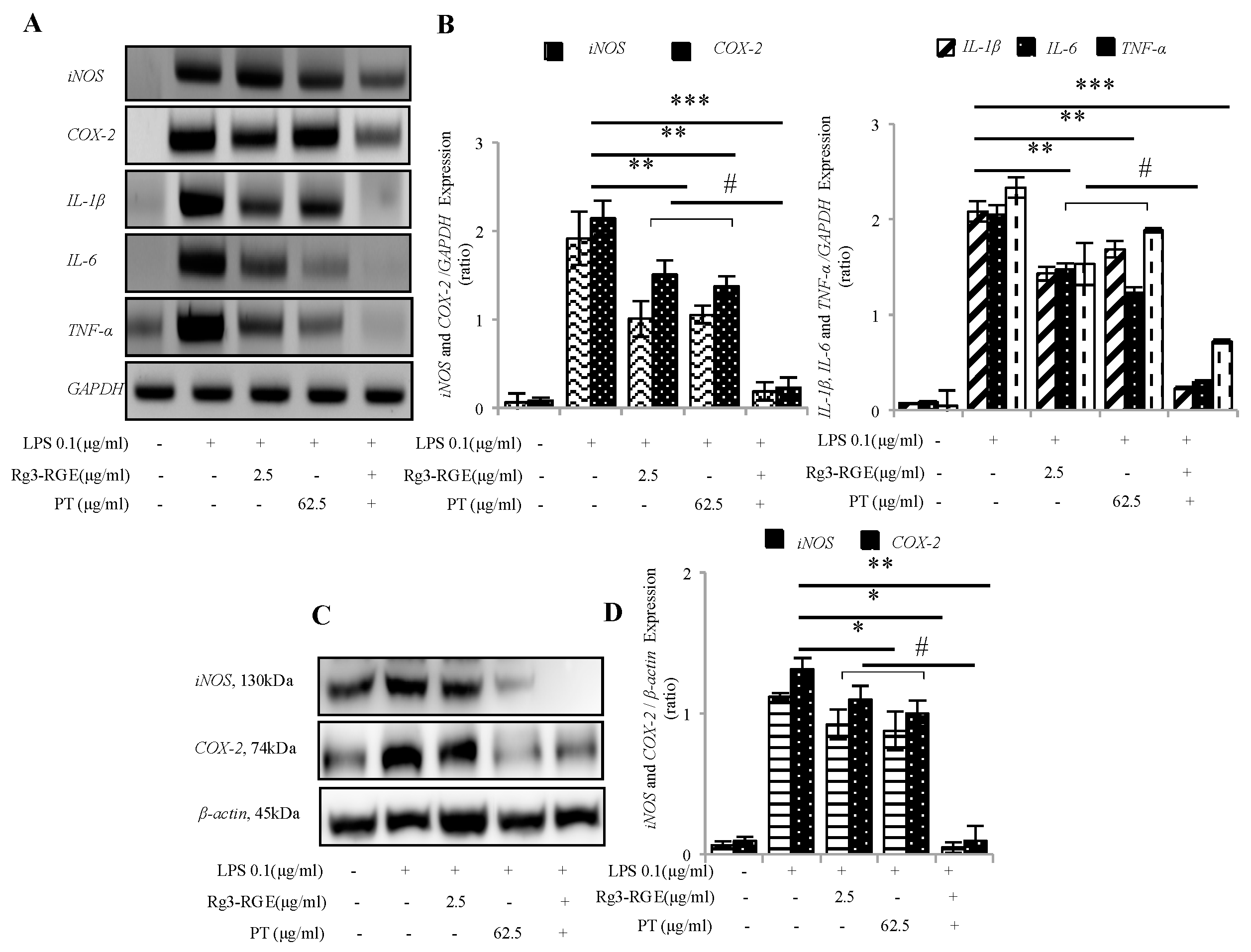 Molecules 25 05230 g003 Molecules 25 05230 g003