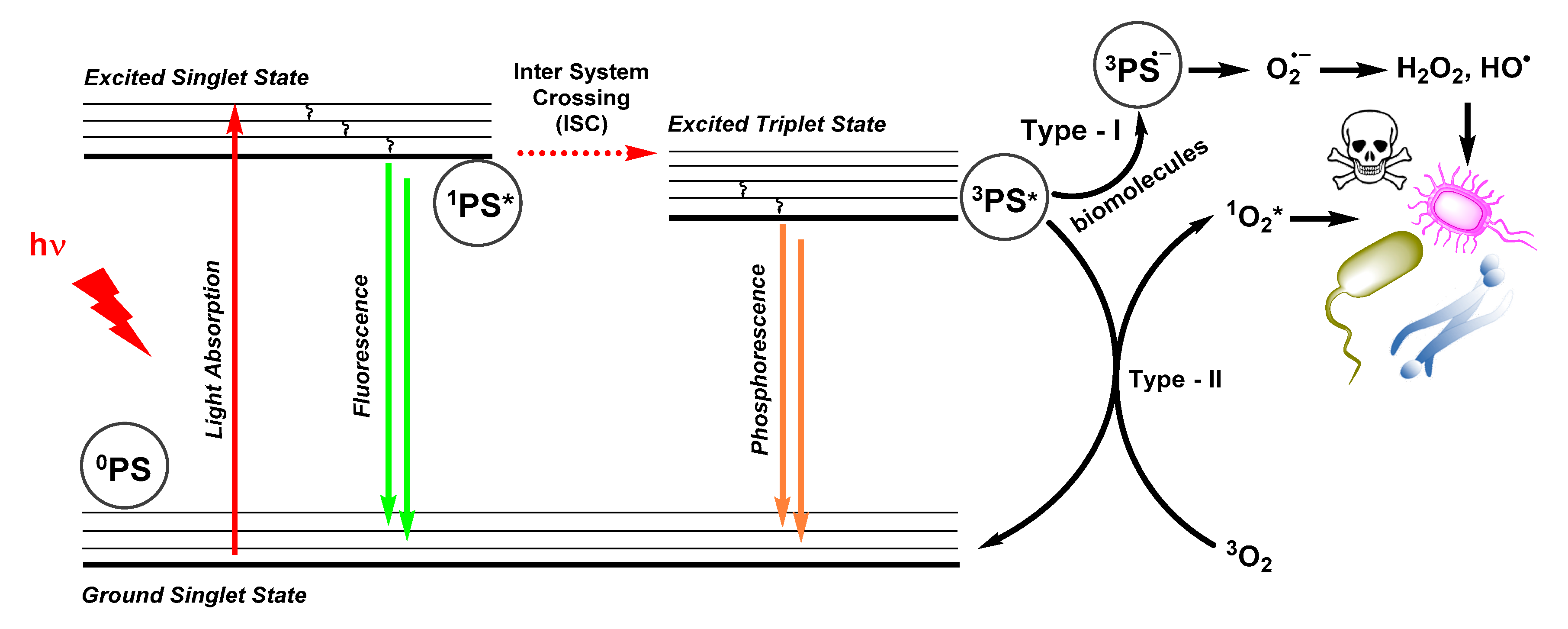 Molecules 25 05239 g001