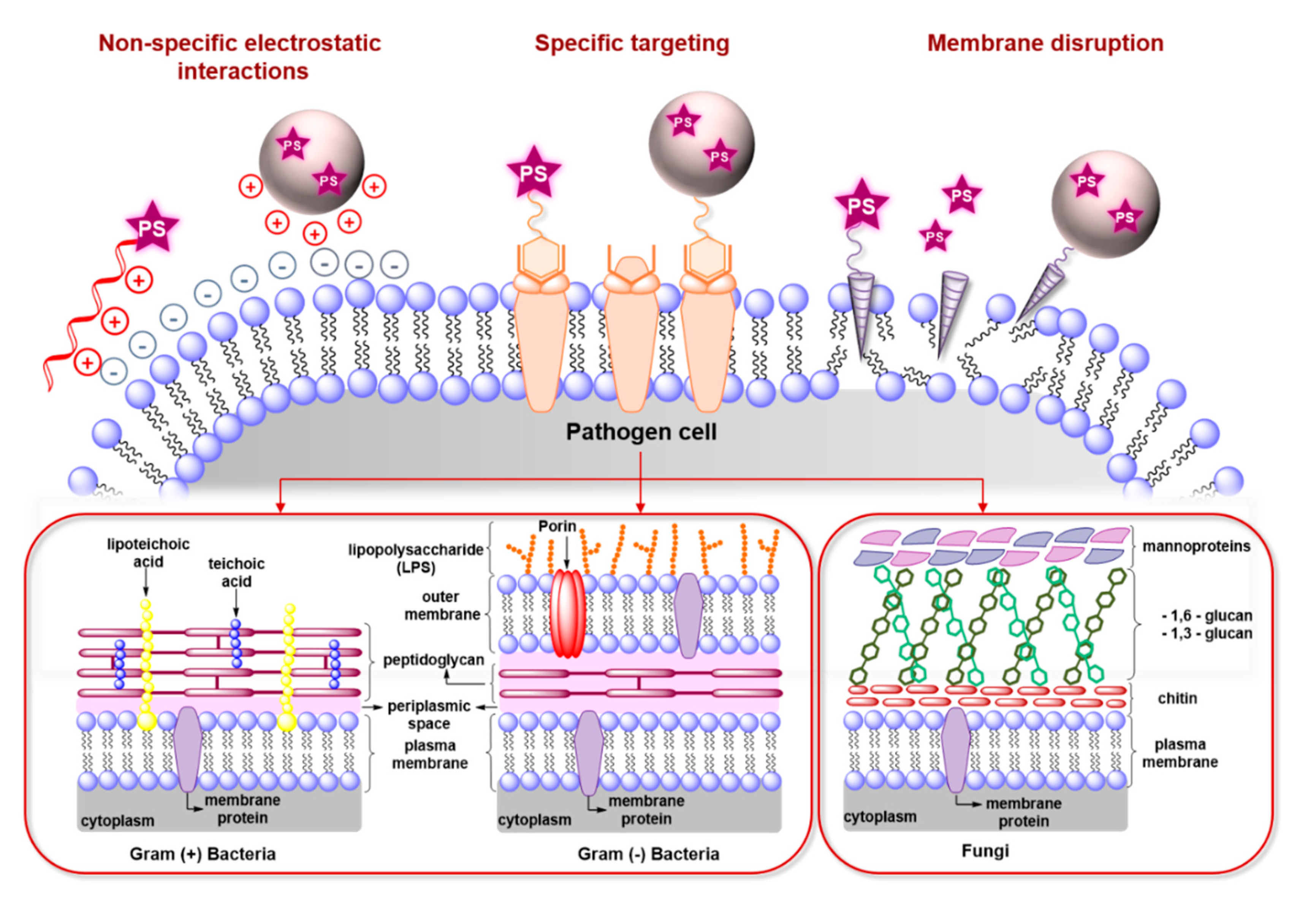 Molecules 25 05239 g003