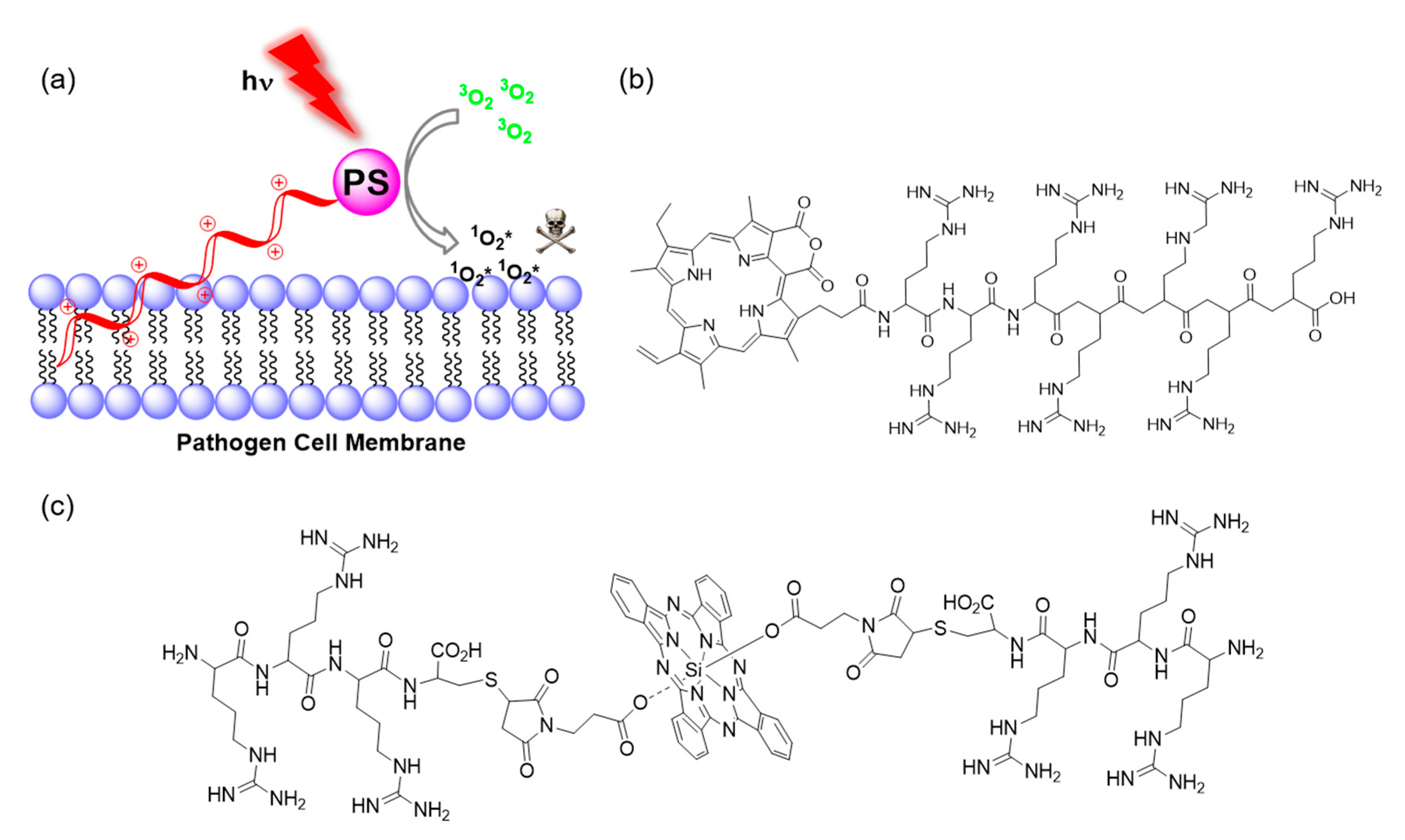 Molecules 25 05239 g004
