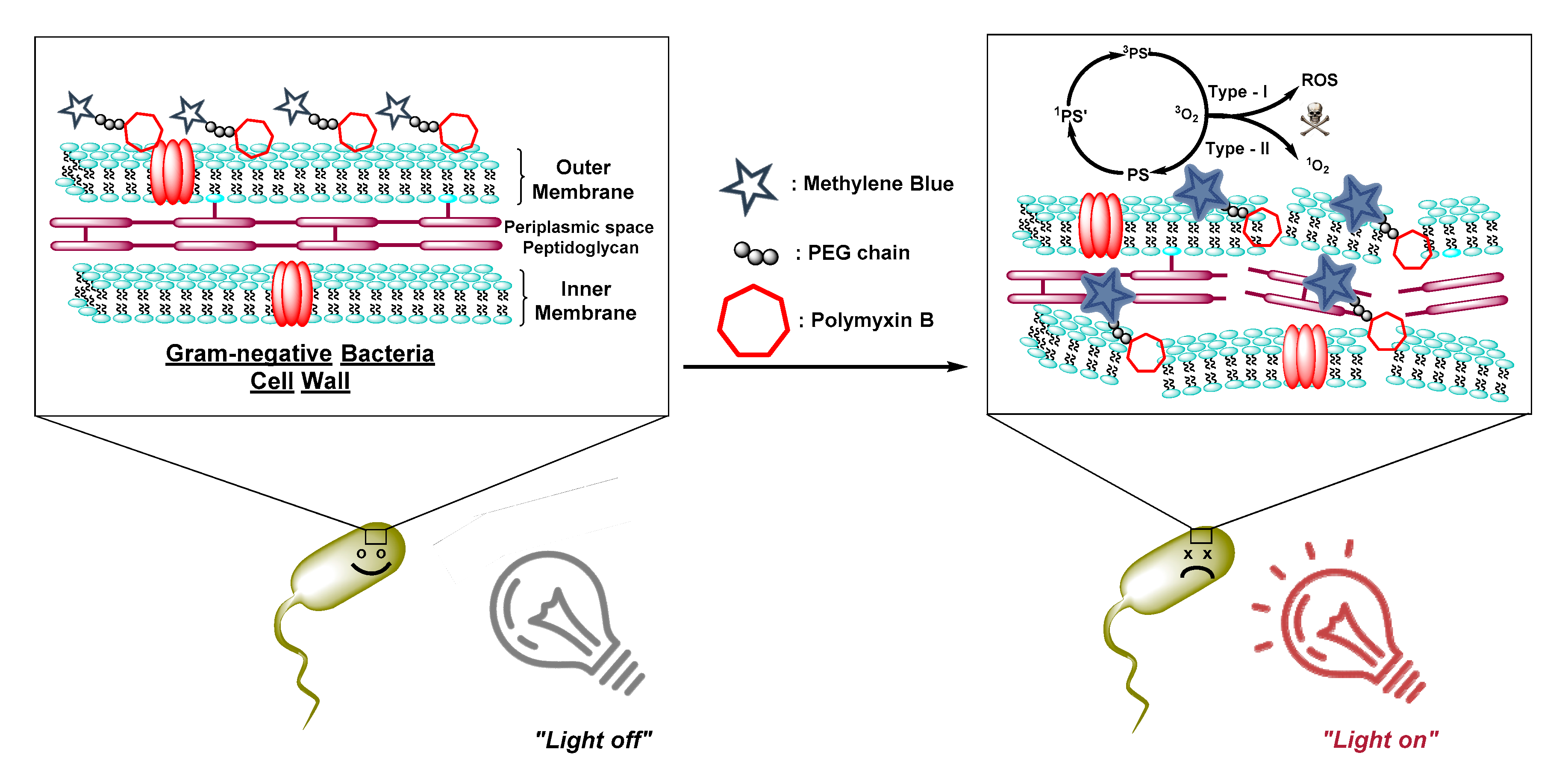 Molecules 25 05239 g006