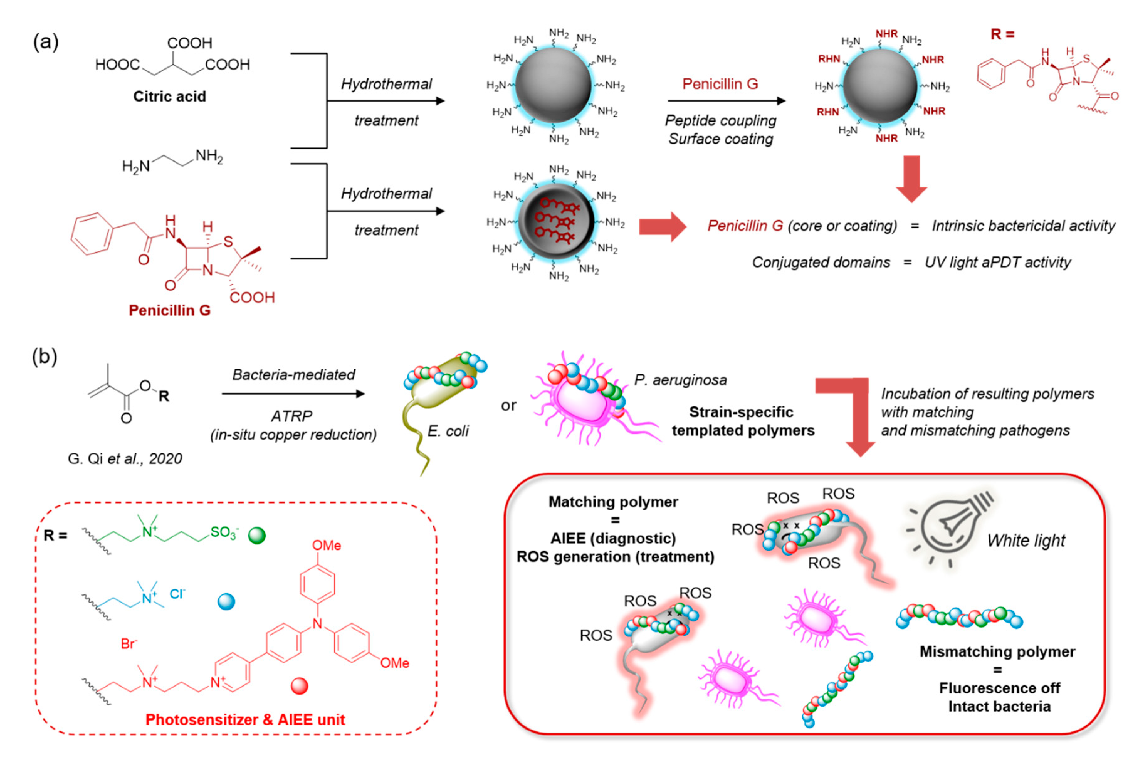 Molecules 25 05239 g011
