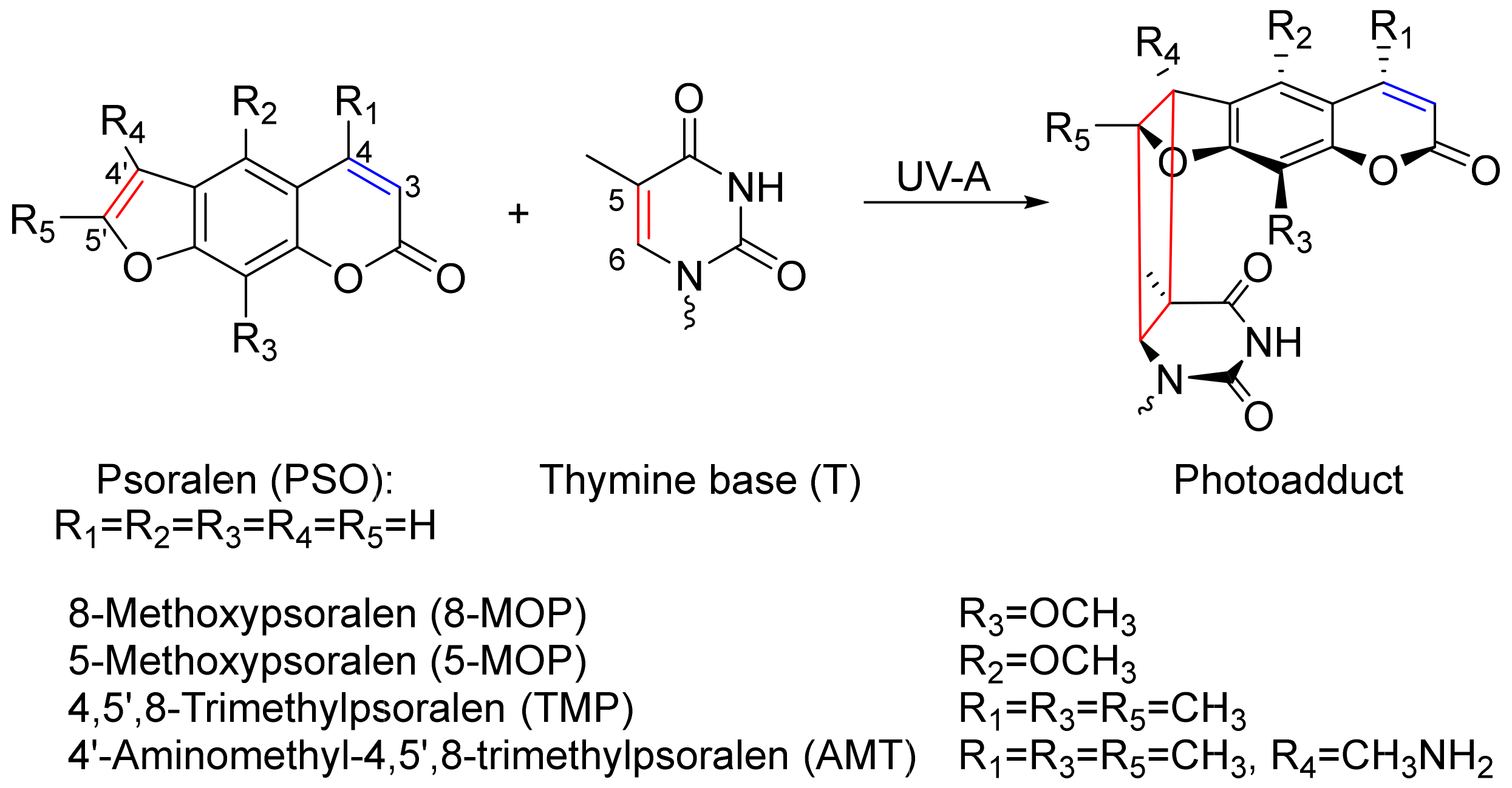 Molecules 25 05242 sch001 Molecules 25 05242 sch001