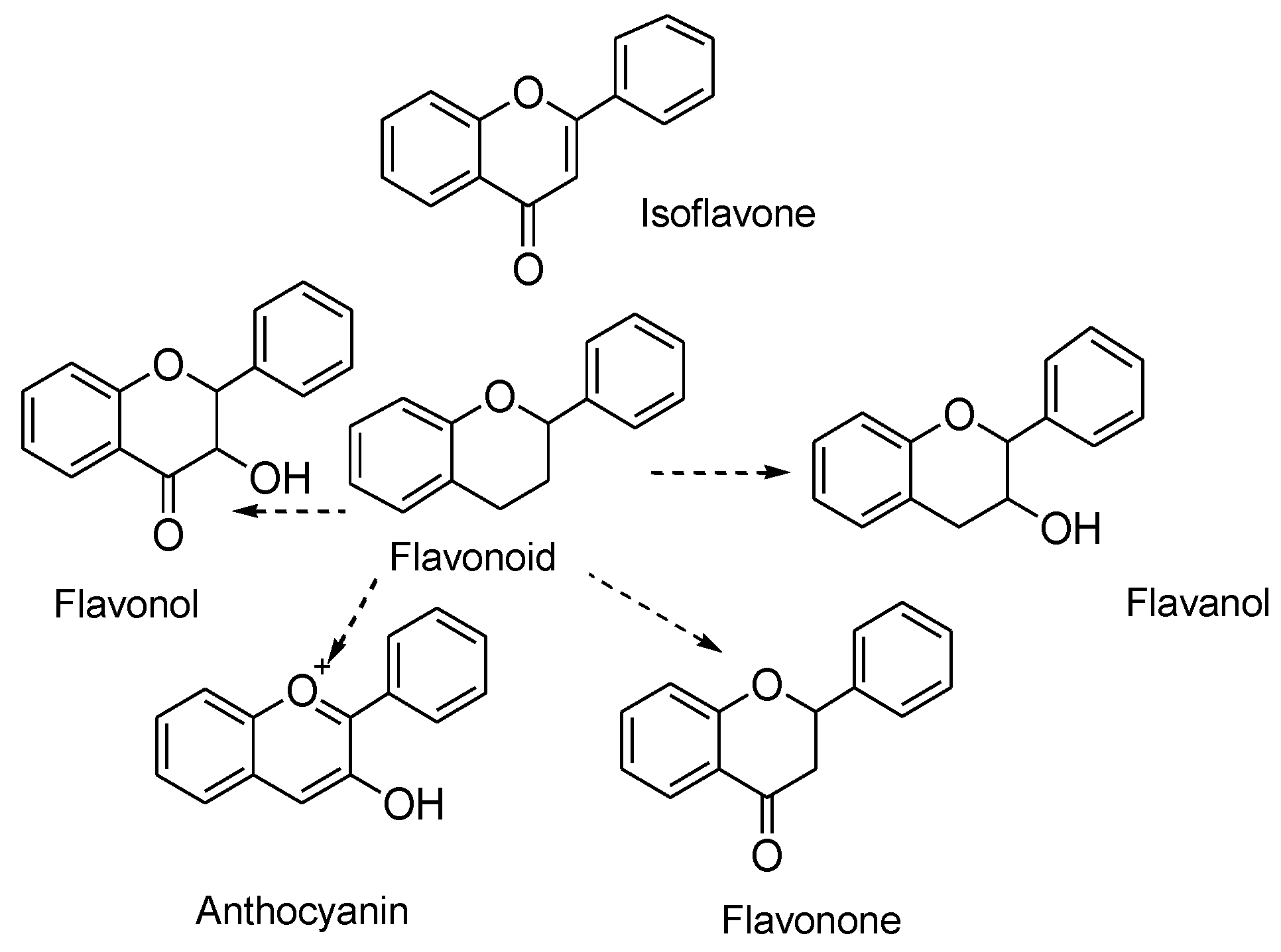 Molecules 25 05243 g001 Molecules 25 05243 g001