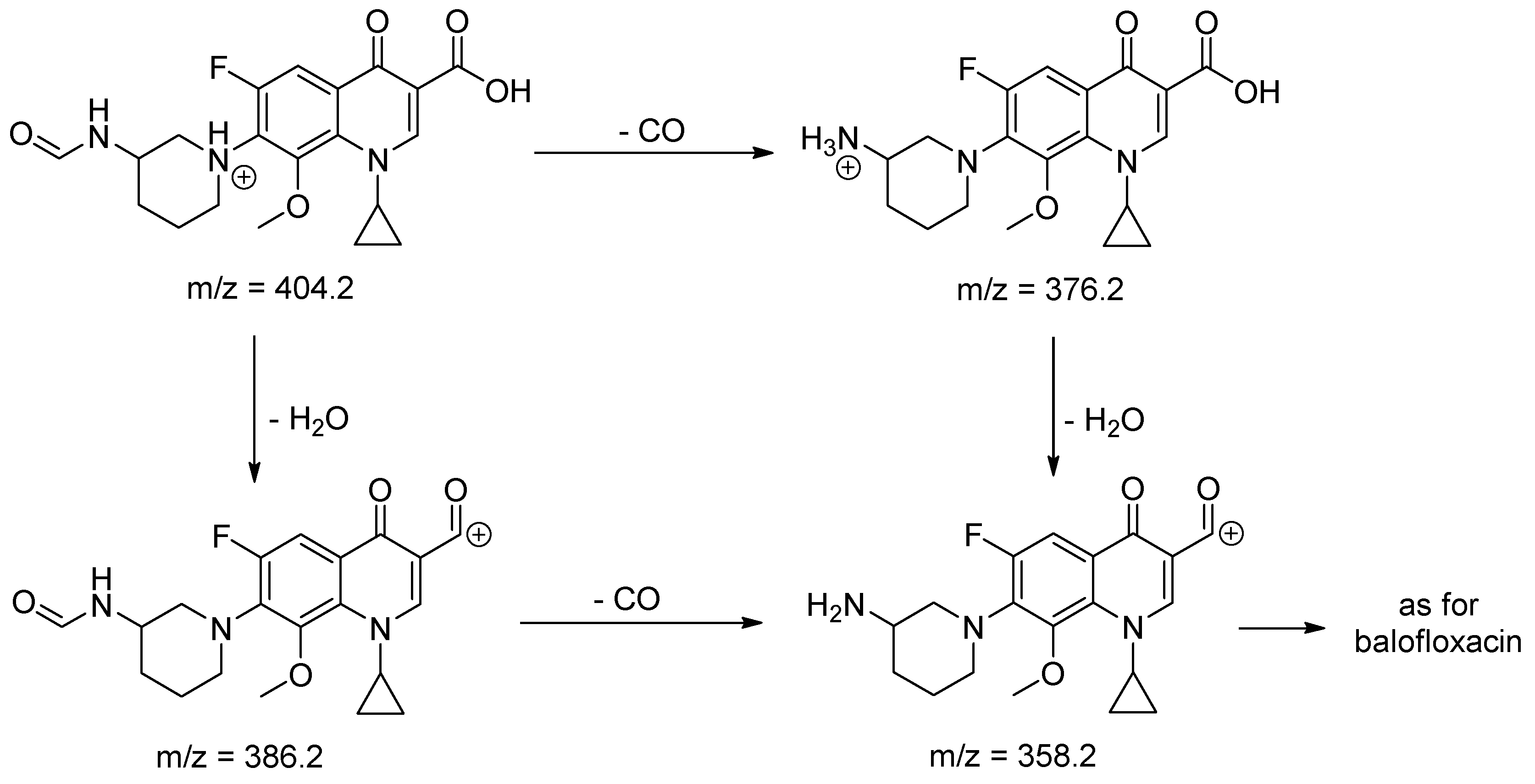 Molecules 25 05251 sch003