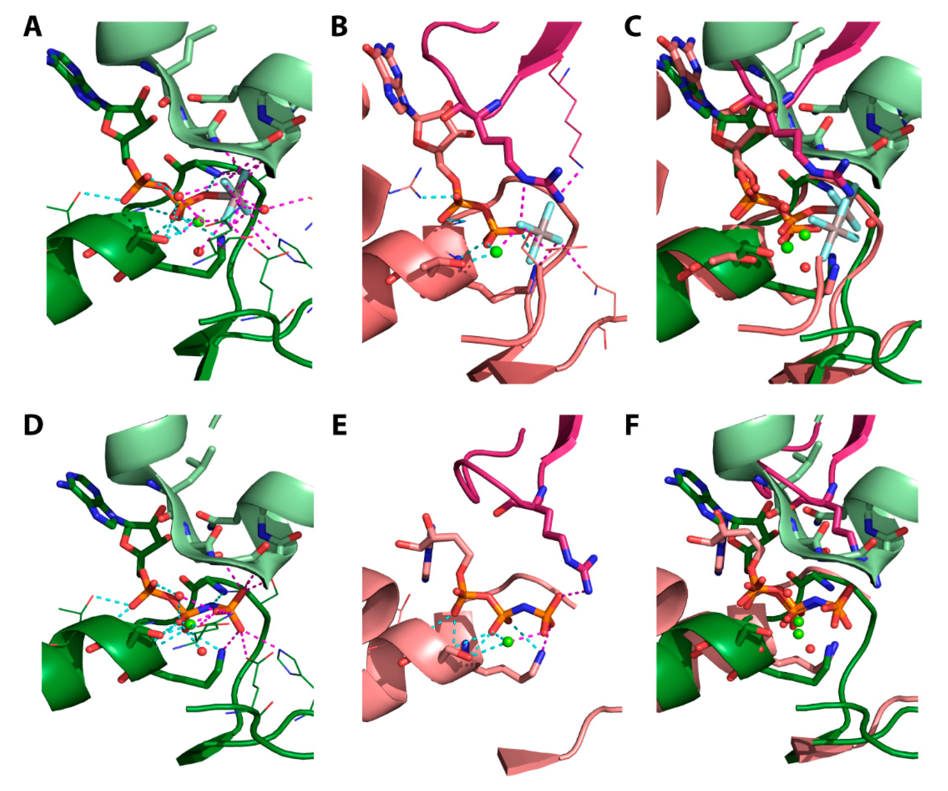 Molecules 25 05268 g011 Molecules 25 05268 g011