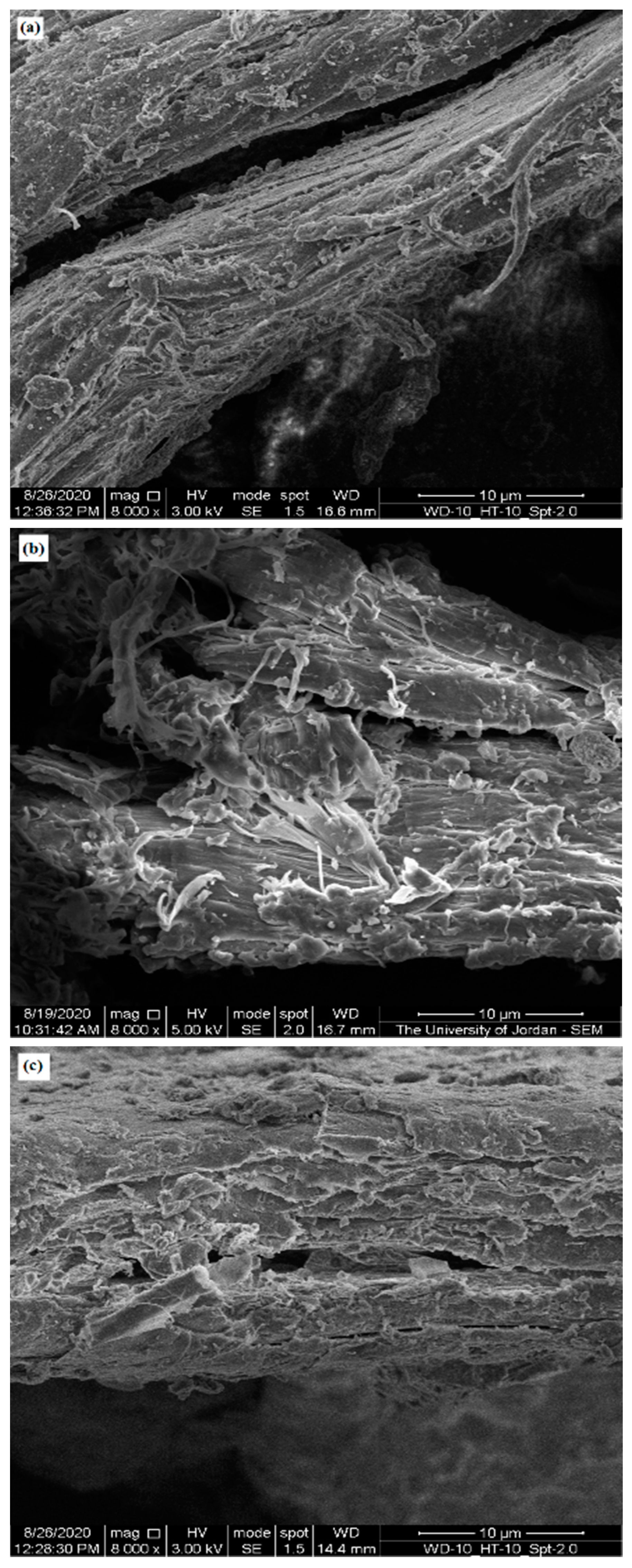Molecules Free Full Text Influence Of Chitin Source And Polymorphism On Powder Compression And Compaction Application In Drug Delivery Html Molecules Free Full Text Influence Of Chitin Source And Polymorphism On Powder Compression And Compaction Application In Drug Delivery Html