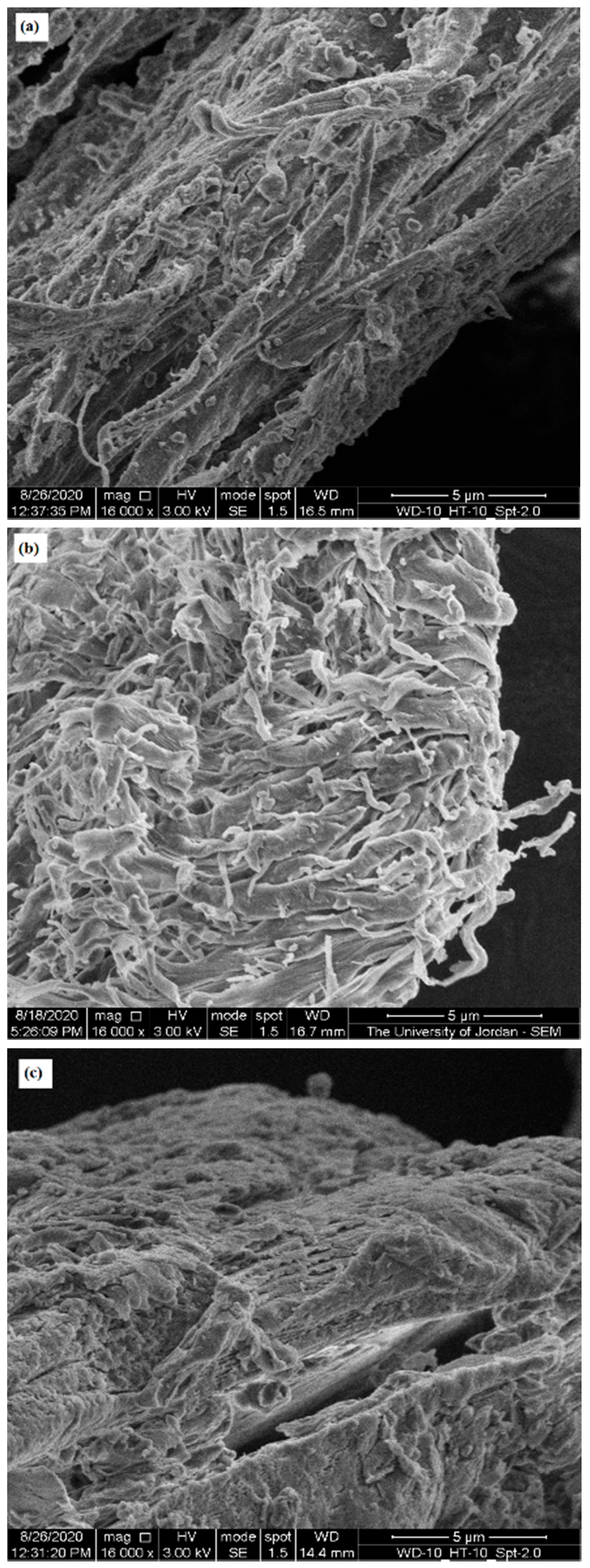 Molecules Free Full Text Influence Of Chitin Source And Polymorphism On Powder Compression And Compaction Application In Drug Delivery Html Molecules Free Full Text Influence Of Chitin Source And Polymorphism On Powder Compression And Compaction Application In Drug Delivery Html