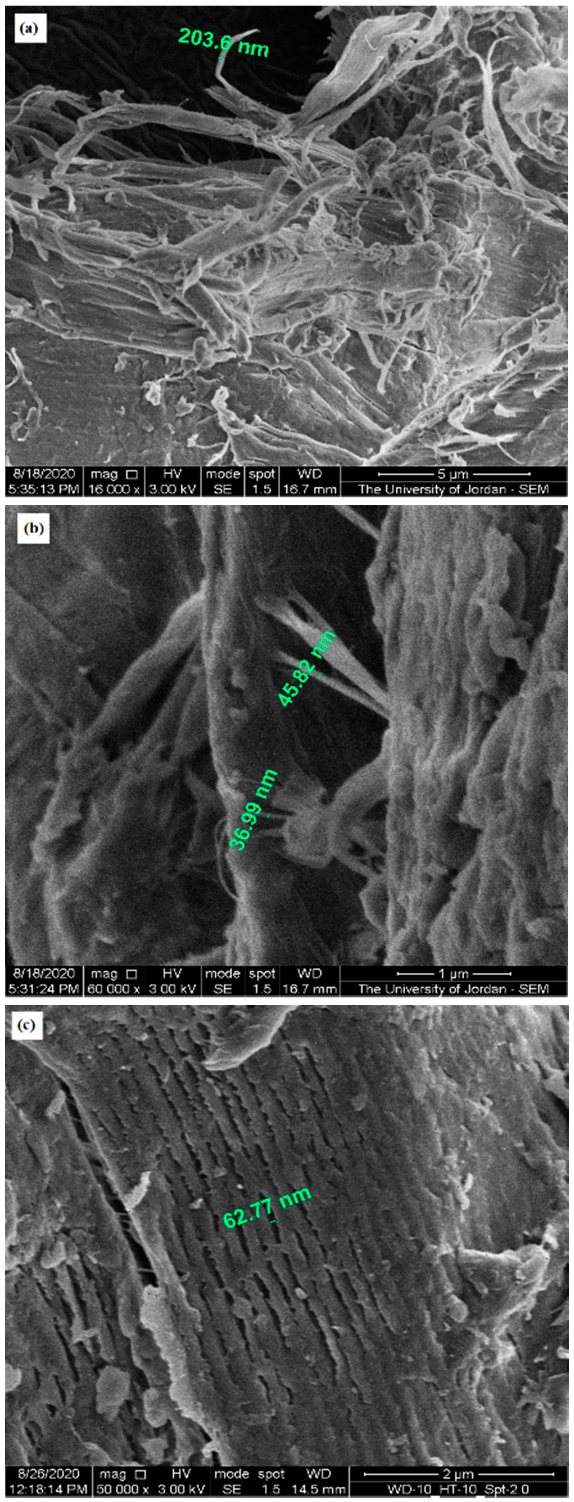 Molecules Free Full Text Influence Of Chitin Source And Polymorphism On Powder Compression And Compaction Application In Drug Delivery Html Molecules Free Full Text Influence Of Chitin Source And Polymorphism On Powder Compression And Compaction Application In Drug Delivery Html