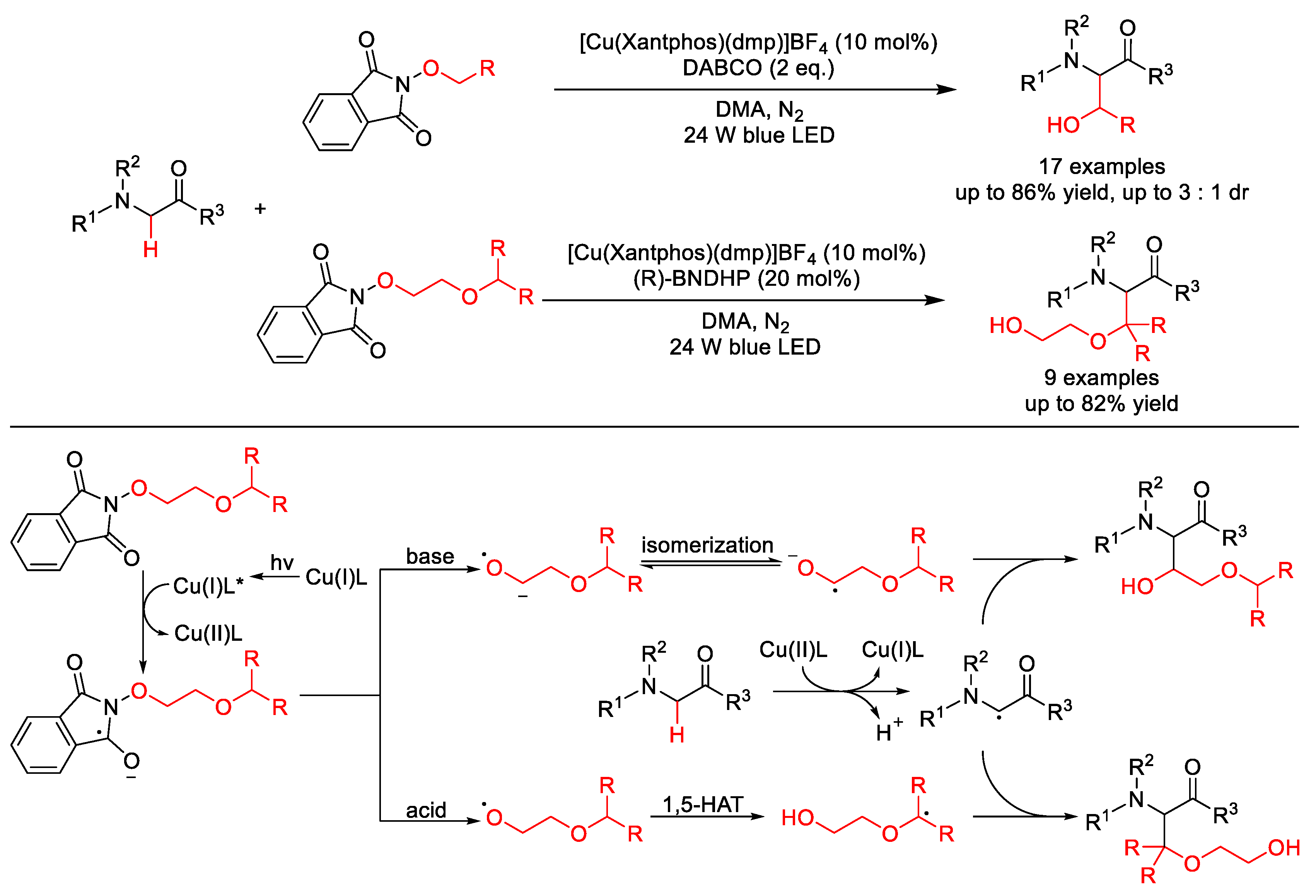 Molecules 25 05270 sch005 Molecules 25 05270 sch005