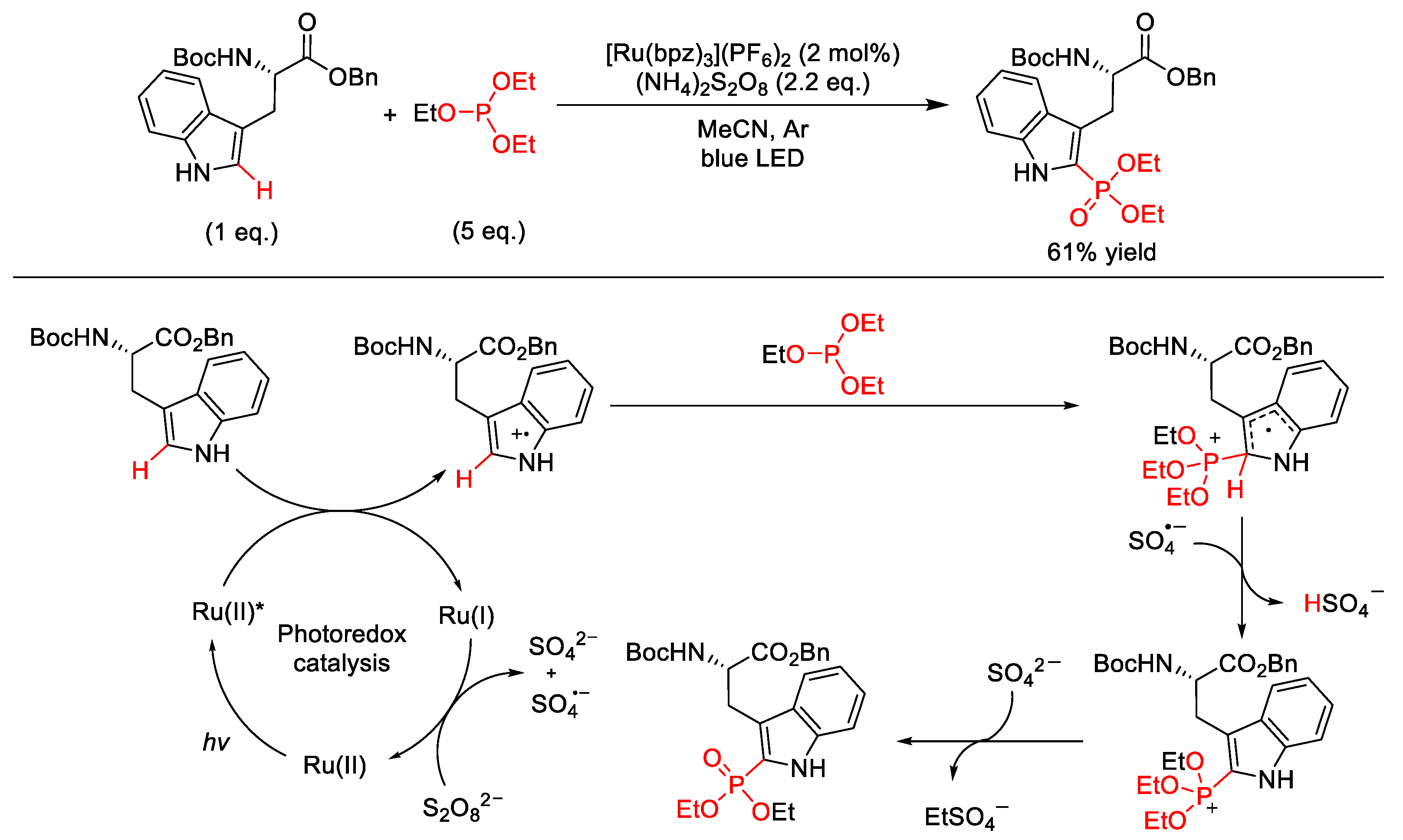 Molecules 25 05270 sch058 Molecules 25 05270 sch058
