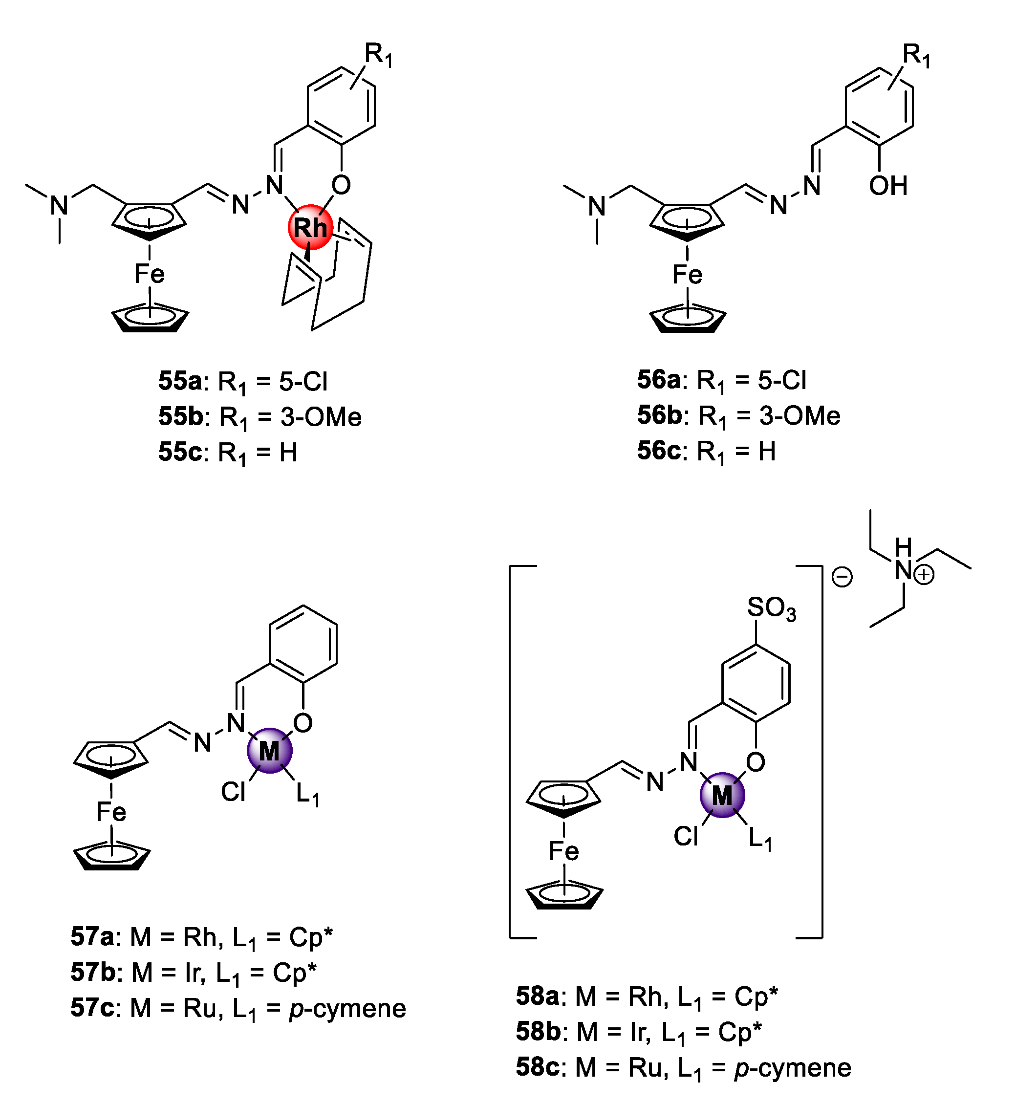 Molecules 25 05276 g014