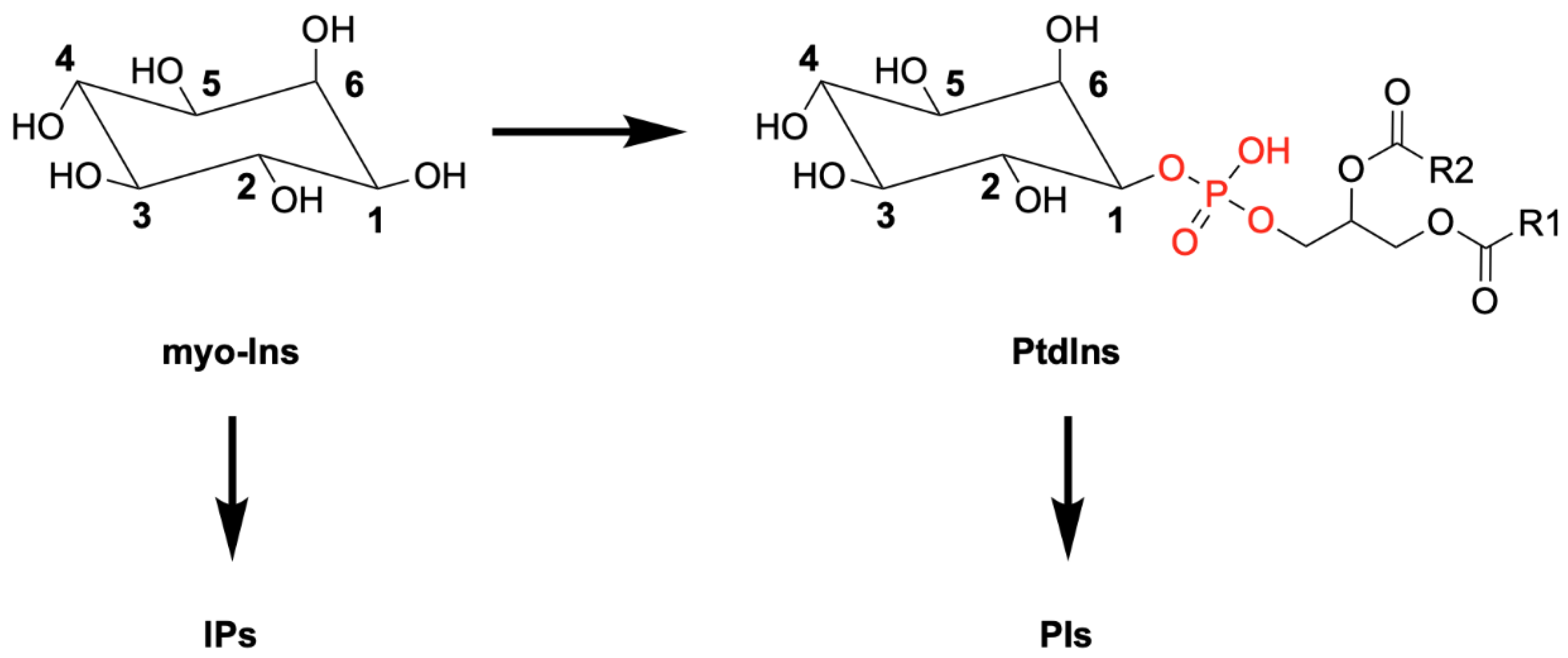 Molecules 25 05281 g001