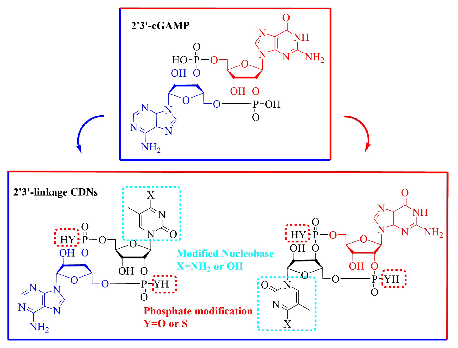 Molecules 25 05285 g002