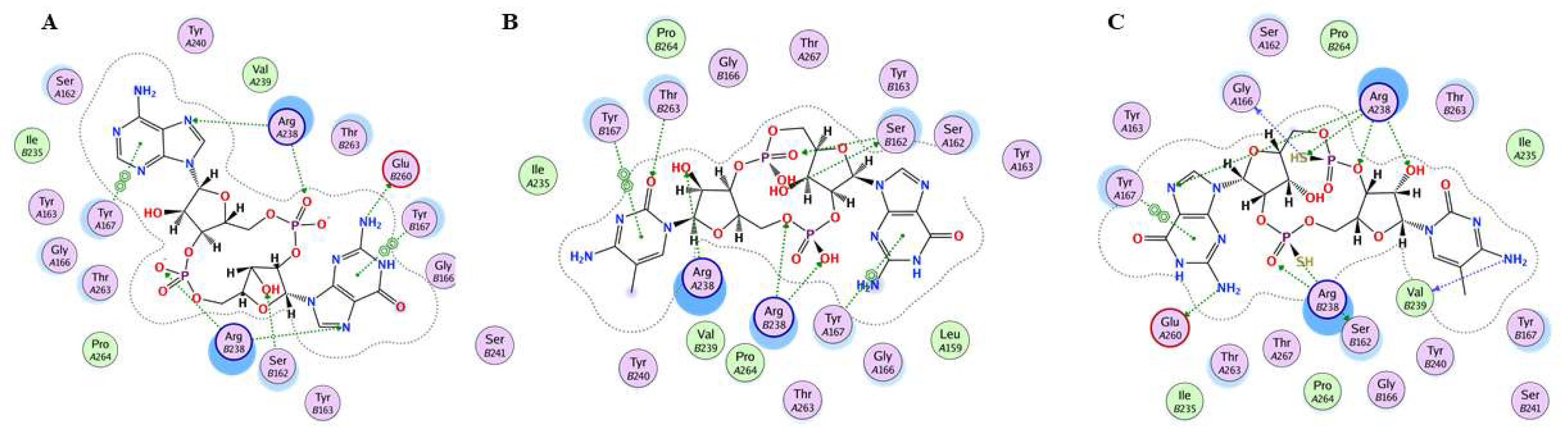 Molecules 25 05285 g005