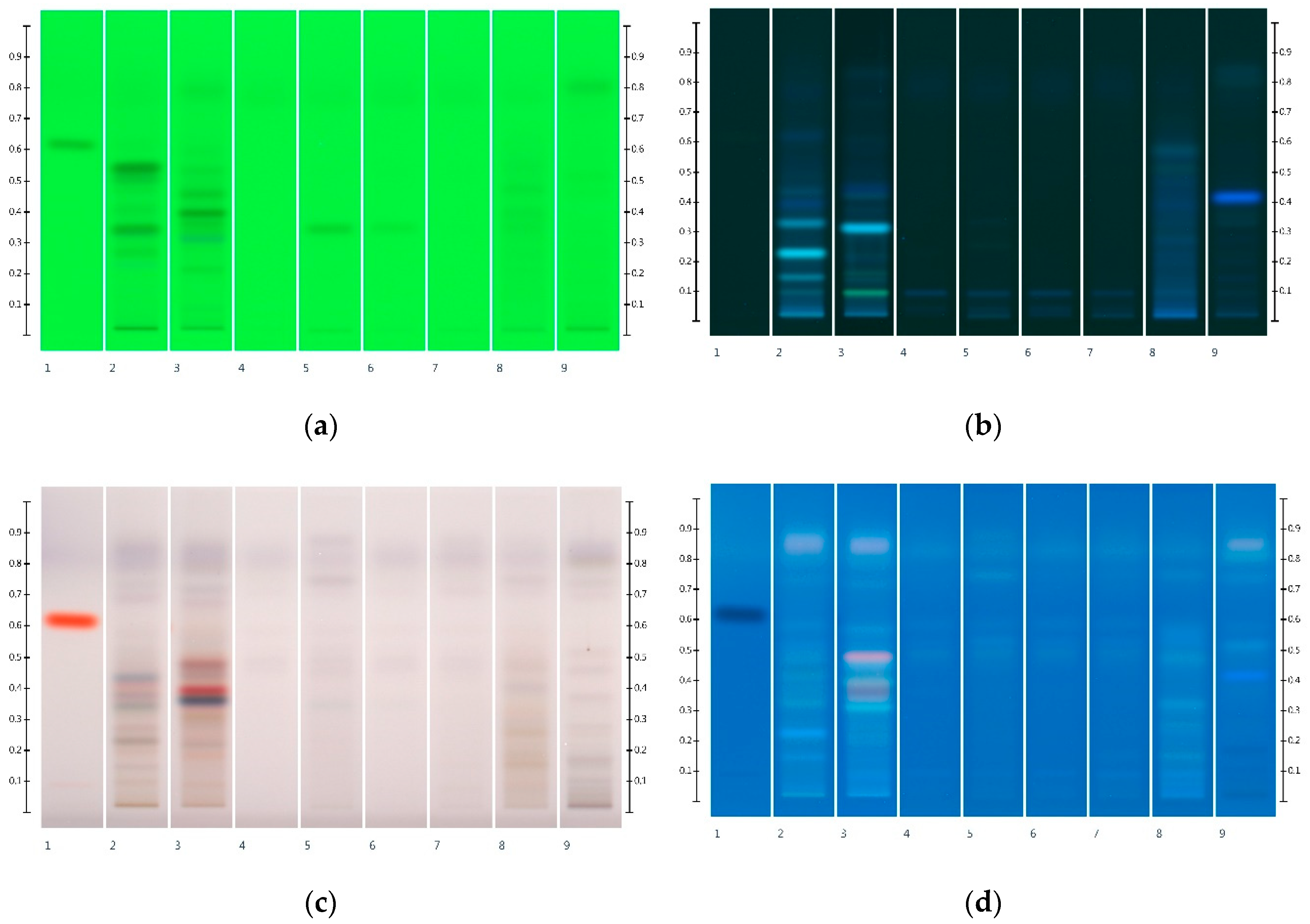 Molecules 25 05289 g005