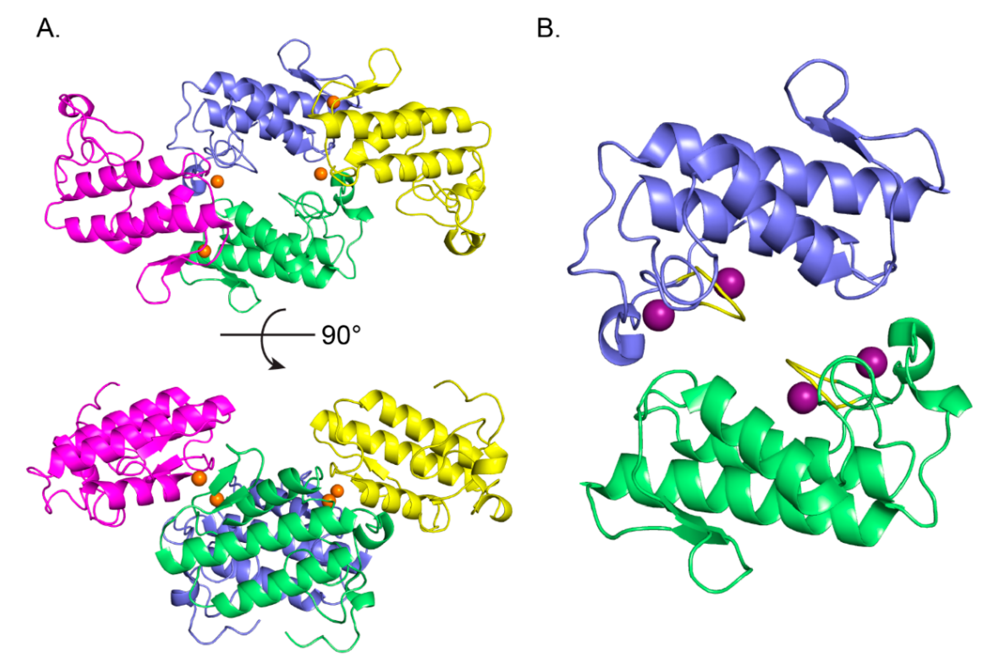 Molecules 25 05290 g003 Molecules 25 05290 g003