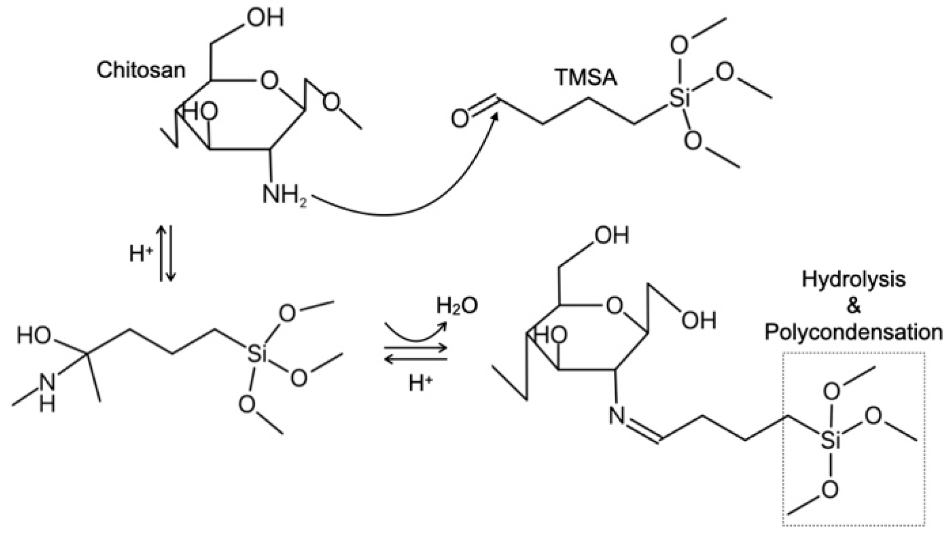 Molecules 25 05292 g002 Molecules 25 05292 g002