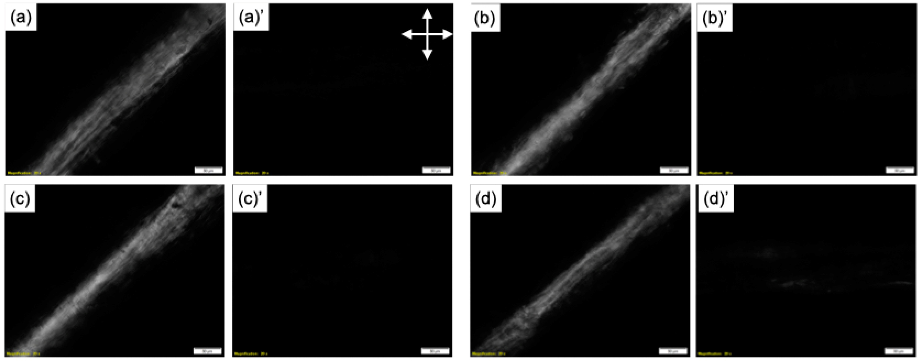 Molecules 25 05292 g005 Molecules 25 05292 g005