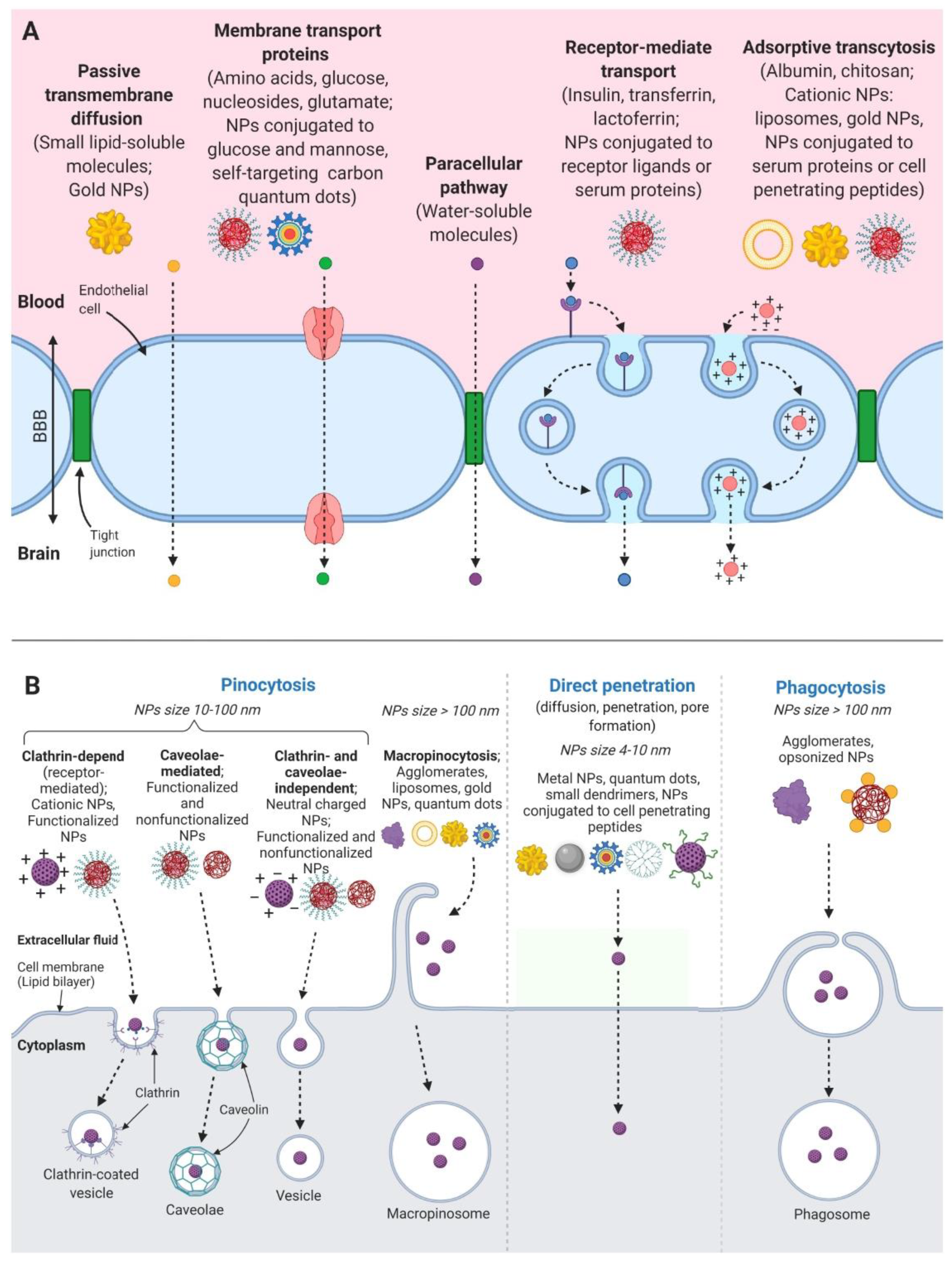Molecules 25 05294 g001 Molecules 25 05294 g001