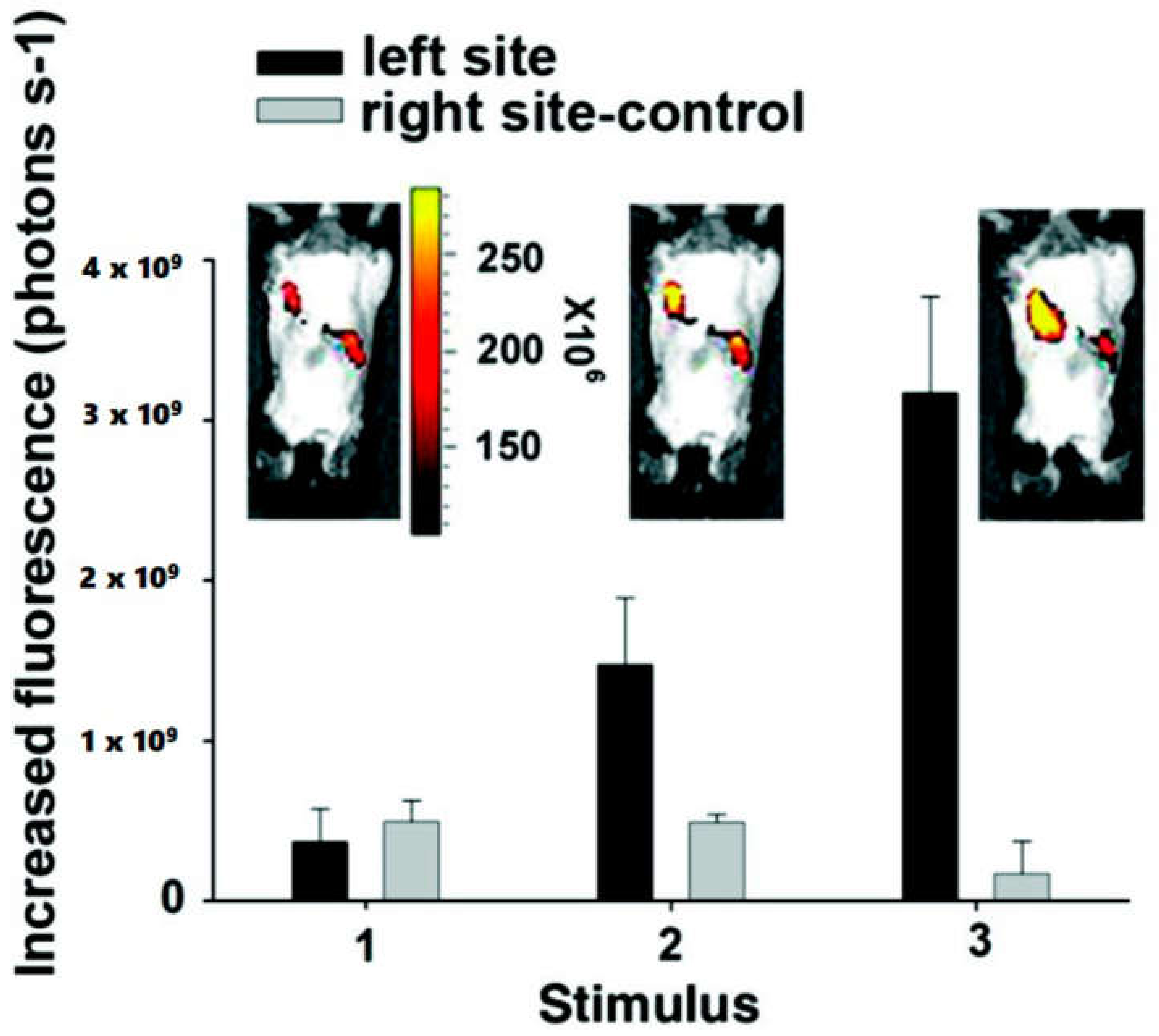 Molecules 25 05296 g009 Molecules 25 05296 g009