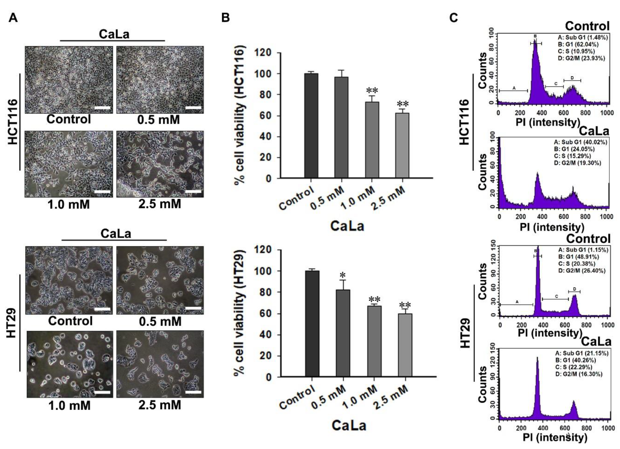 Molecules 25 05299 g002