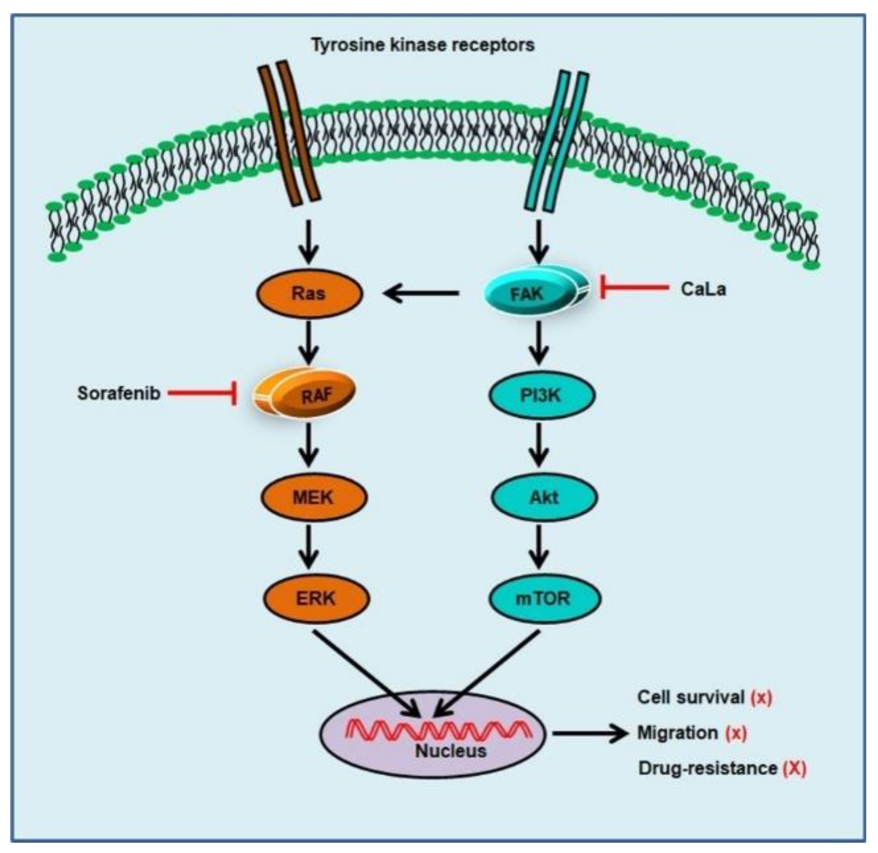 Molecules 25 05299 g005