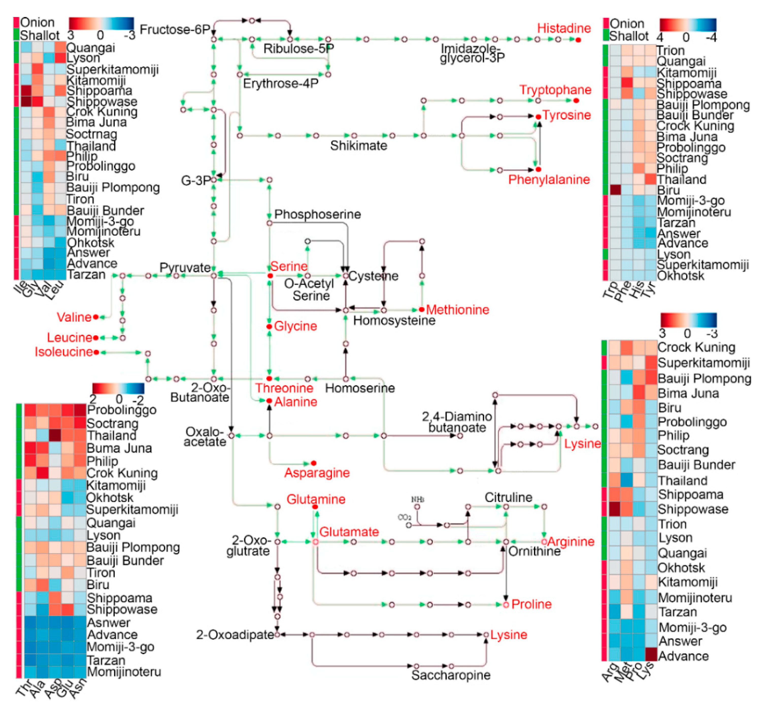 Molecules 25 05300 g004