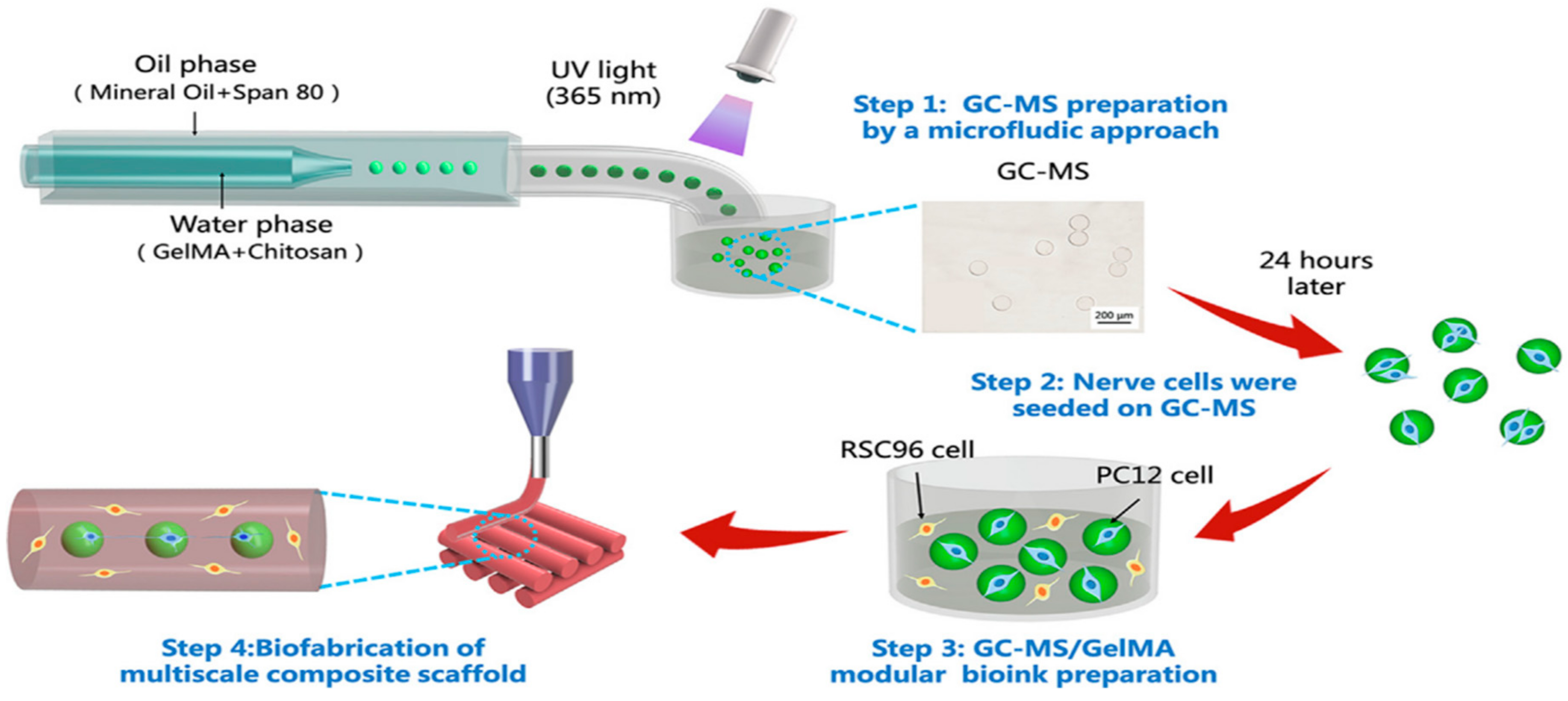 Molecules 25 05305 g002 Molecules 25 05305 g002