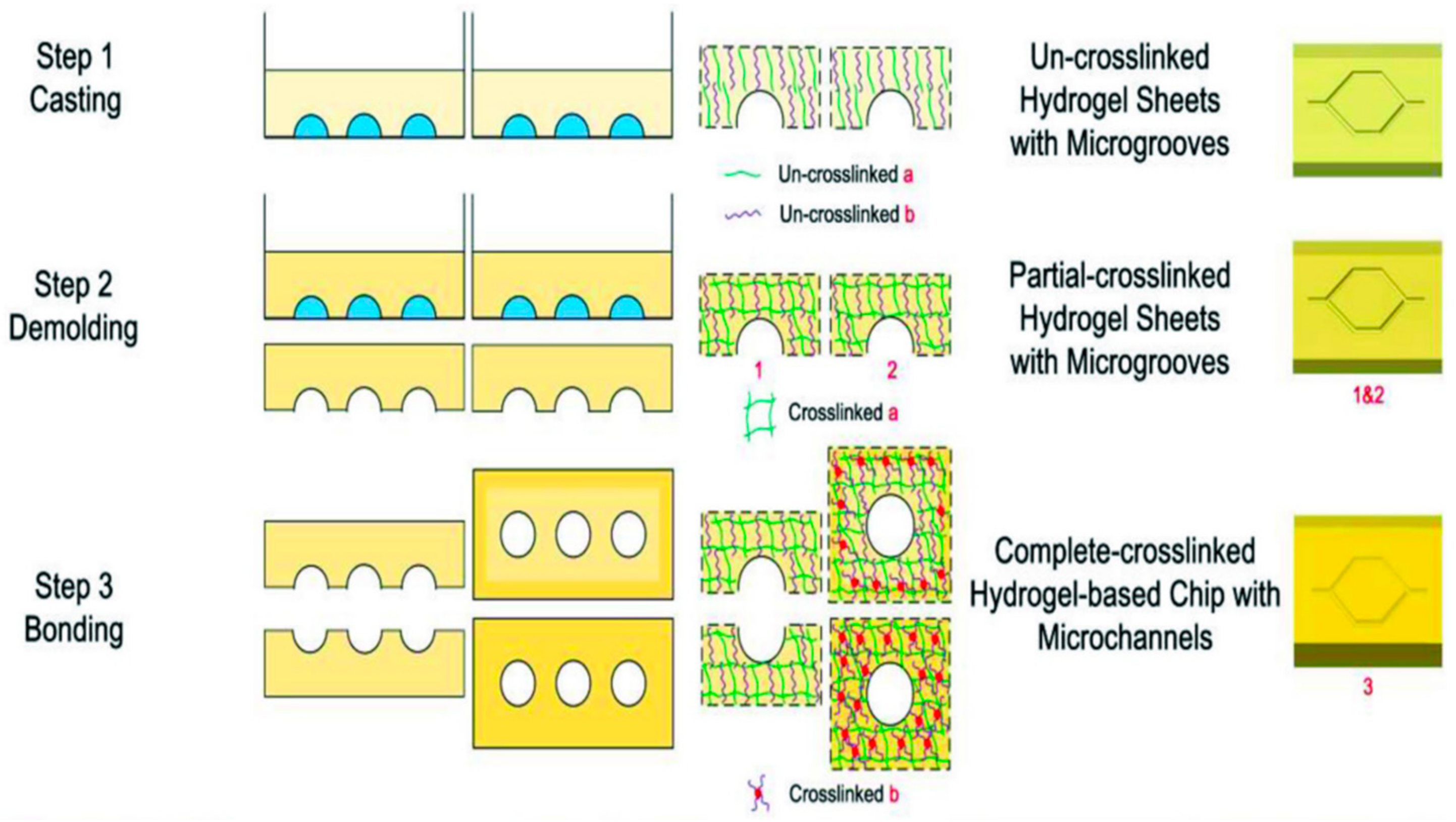 Molecules 25 05305 g004 Molecules 25 05305 g004