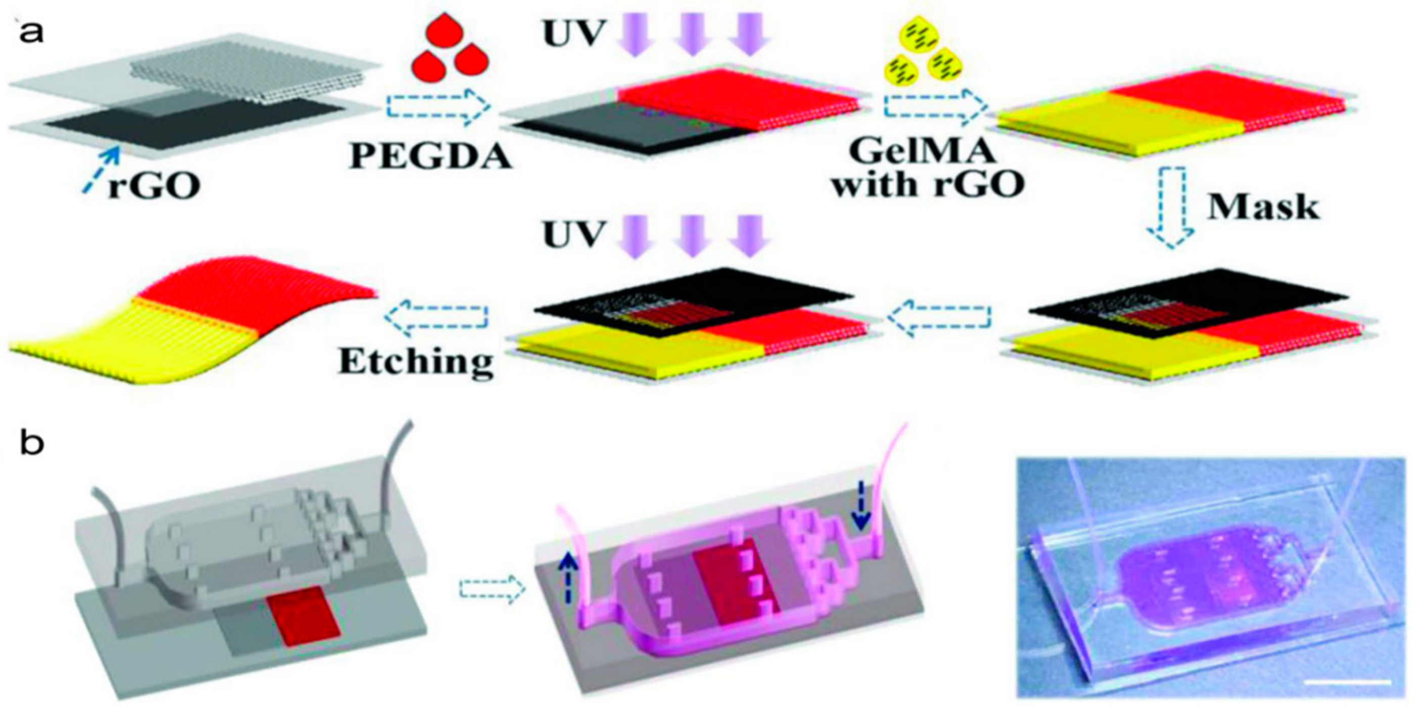 Molecules 25 05305 g006 Molecules 25 05305 g006