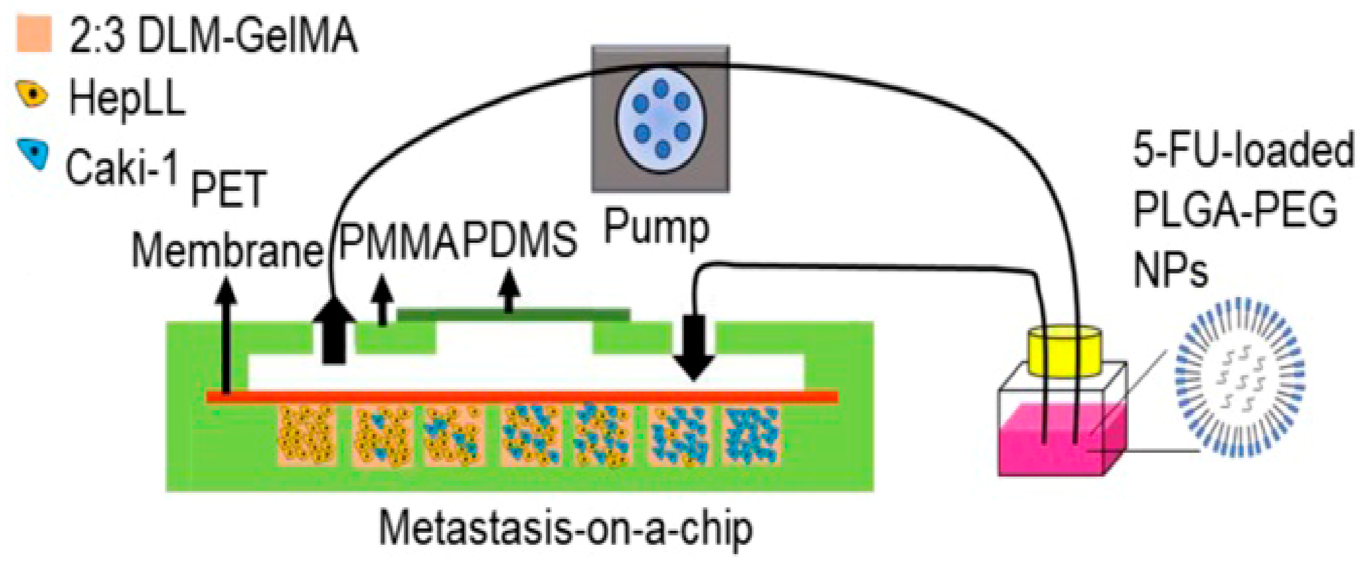 Molecules 25 05305 g007 Molecules 25 05305 g007