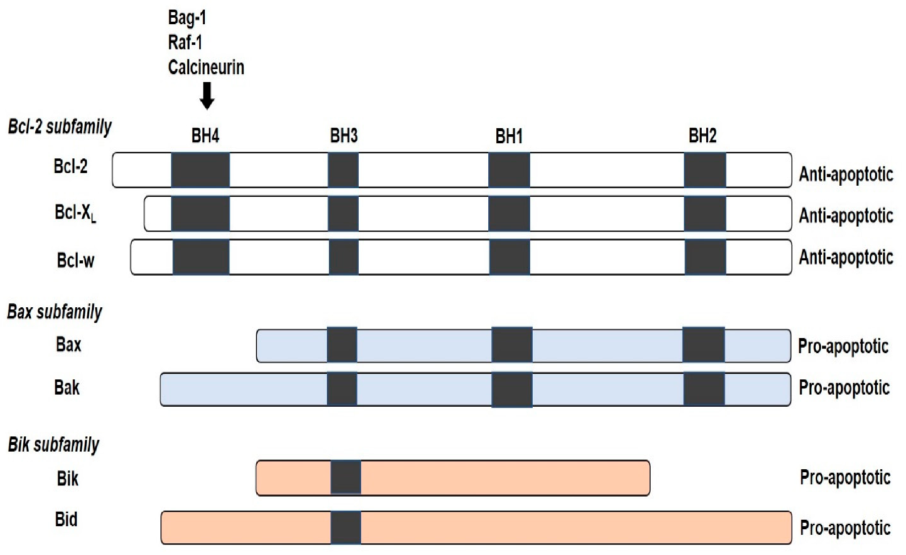 Molecules 25 05308 g001