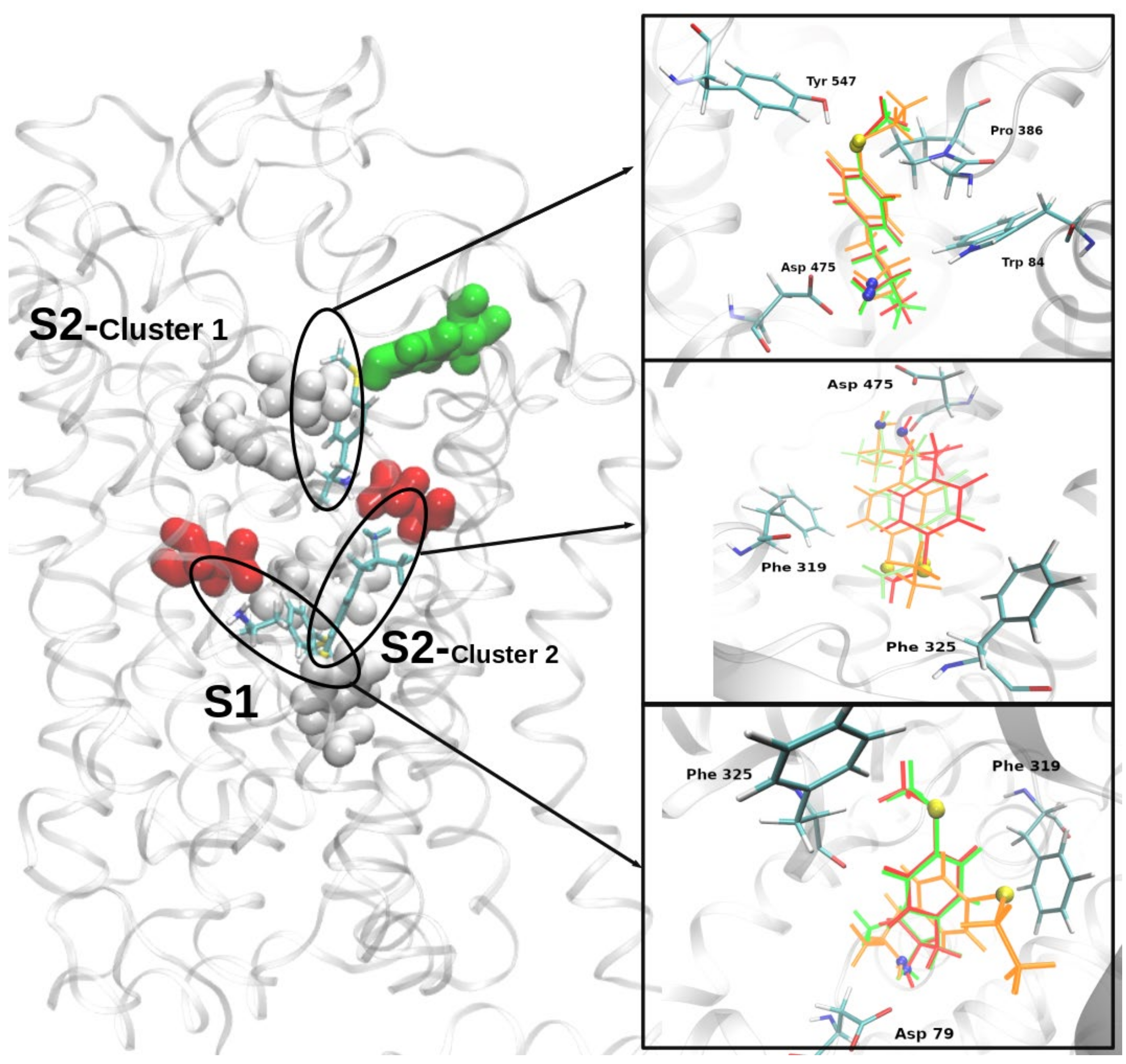Molecules 25 05310 g008 Molecules 25 05310 g008