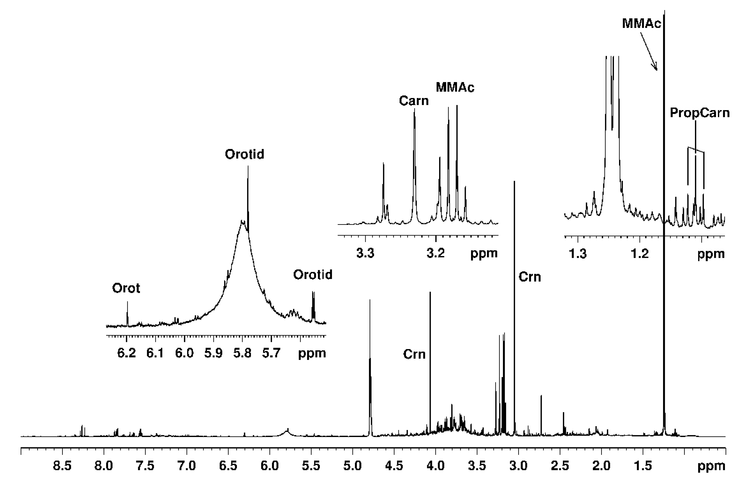 Molecules 25 05312 g001