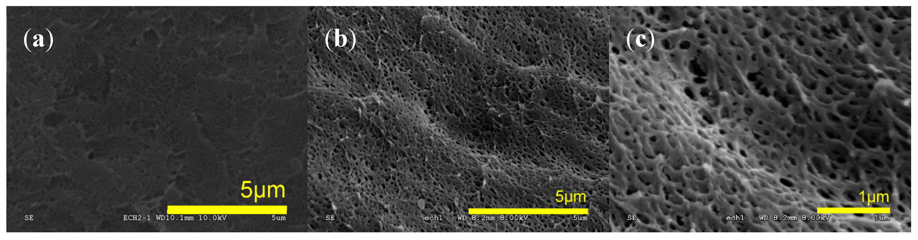 Molecules 25 05320 g005 Molecules 25 05320 g005