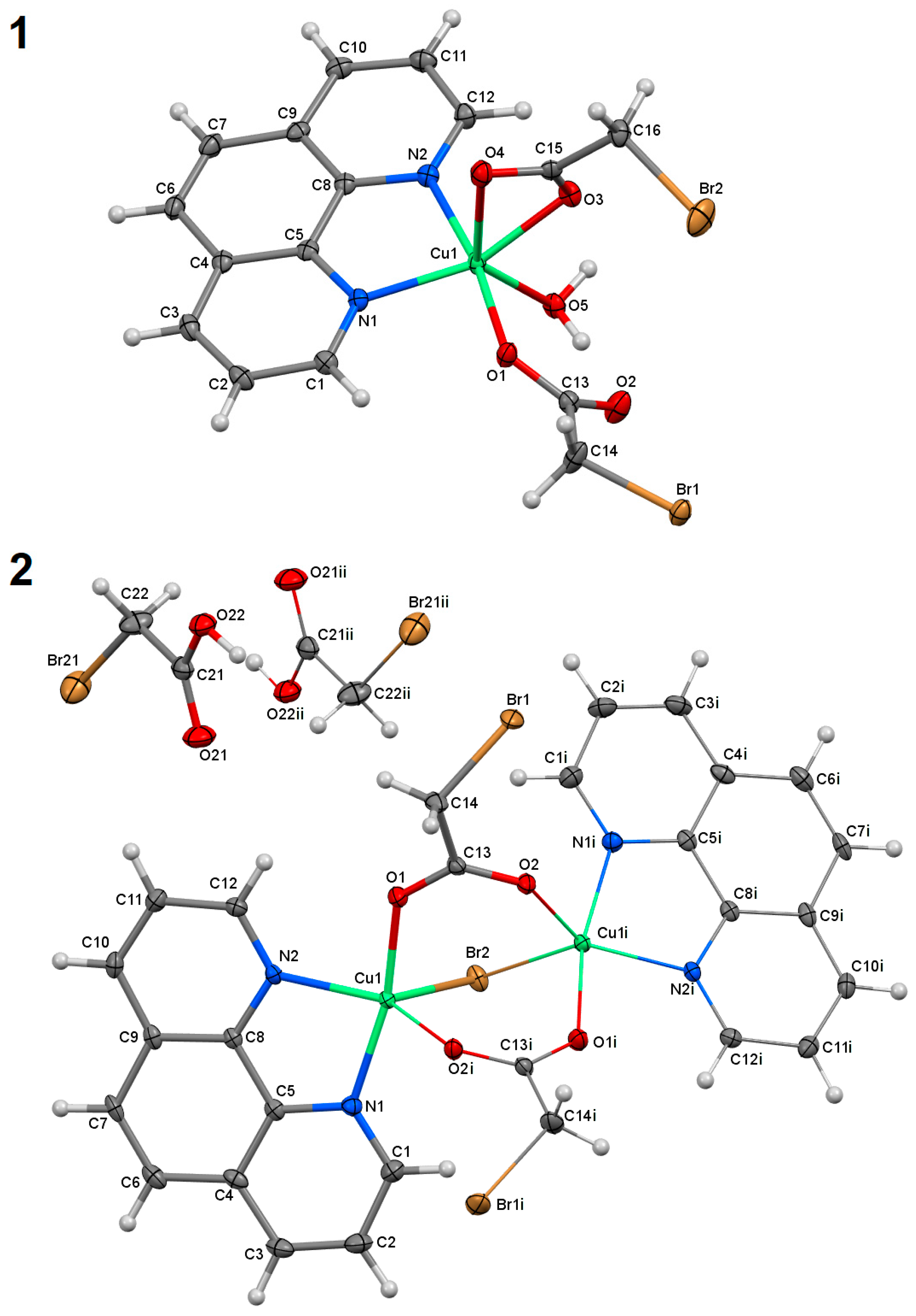 Molecules 25 05324 g001